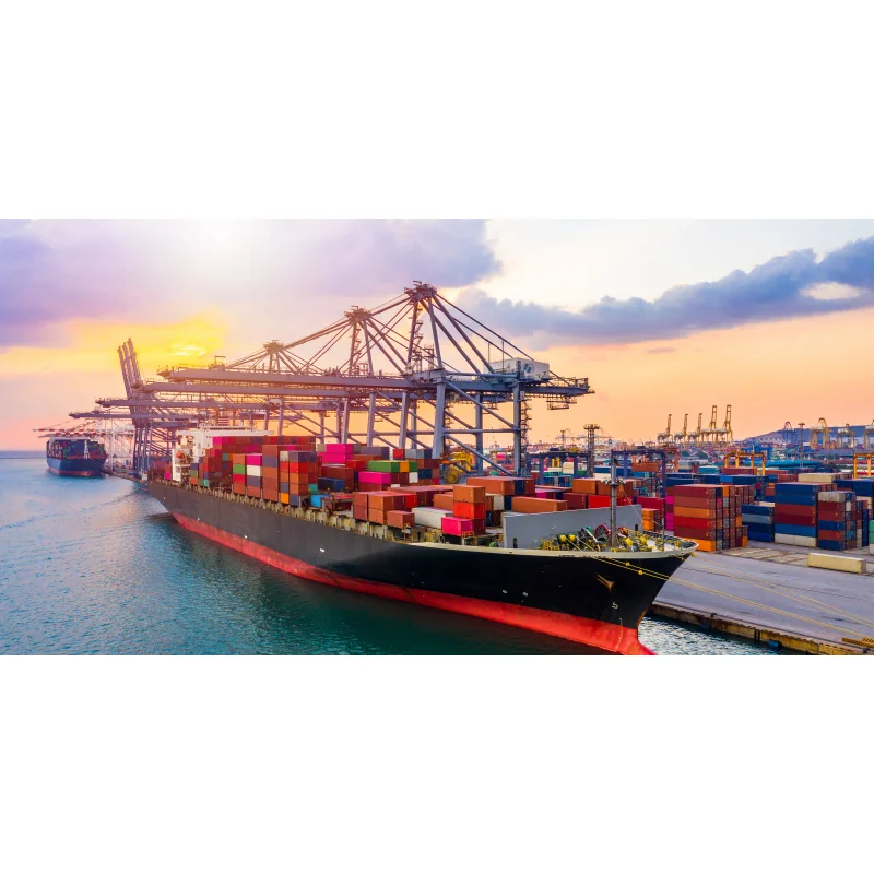 VIP-созначенная ссылка для оплаты Общая цена транспортировки, тарифное оборудование на таможенном распродаже
VIP-созначенная ссылка для оплаты Общая цена транспортировки, тарифное оборудование на таможенном распродаже