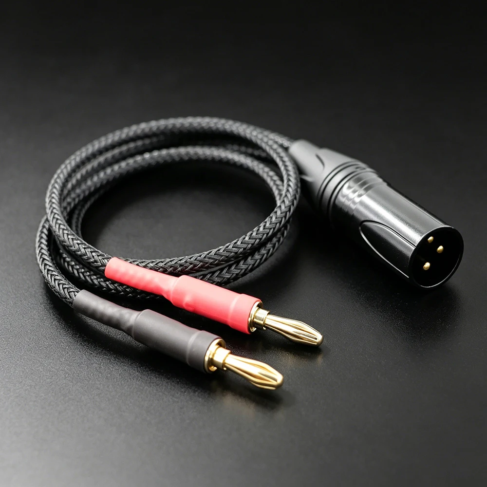 Aouyade XLR Male 3-pin to 4mm Banana Plug Audio Video Cable DAC Speaker Amplifier
Aouyade XLR Male 3-pin to 4mm Banana Plug Audio Video Cable DAC Speaker Amplifier