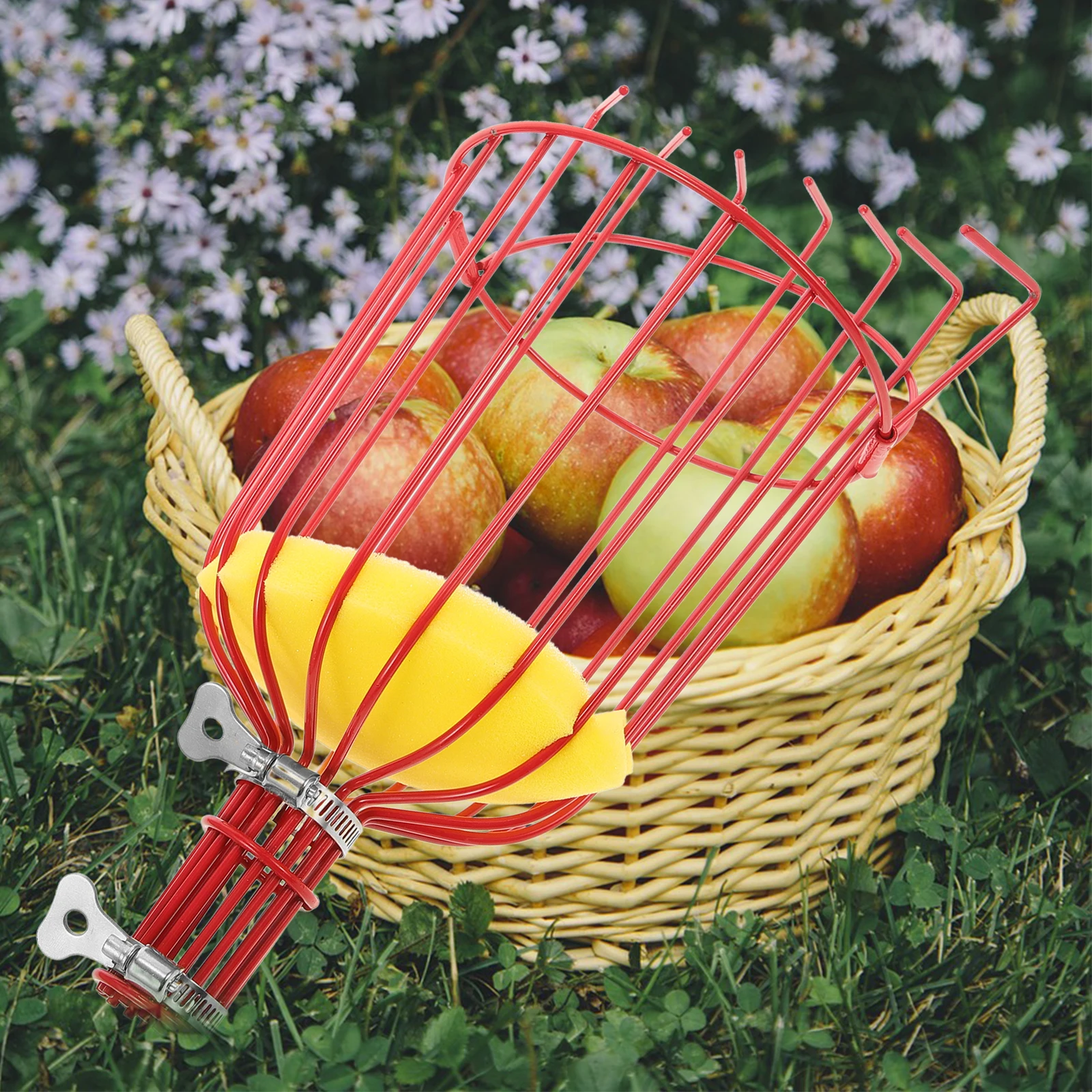 Fruit Picker Tool for Small Fruits Peaches Arbutus Pears Harvesting Device without Ladder Soft Sponge Inner Durable Material
Fruit Picker Tool for Small Fruits Peaches Arbutus Pears Harvesting Device without Ladder Soft Sponge Inner Durable Material