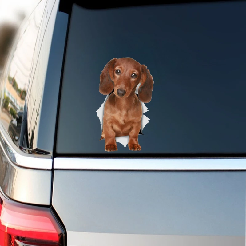 1pc Dachshund 2D Breakthrough Vinyl Sticker Waterproof Decal for Car Wall Fridge Toilet Decor
1pc Dachshund 2D Breakthrough Vinyl Sticker Waterproof Decal for Car Wall Fridge Toilet Decor
