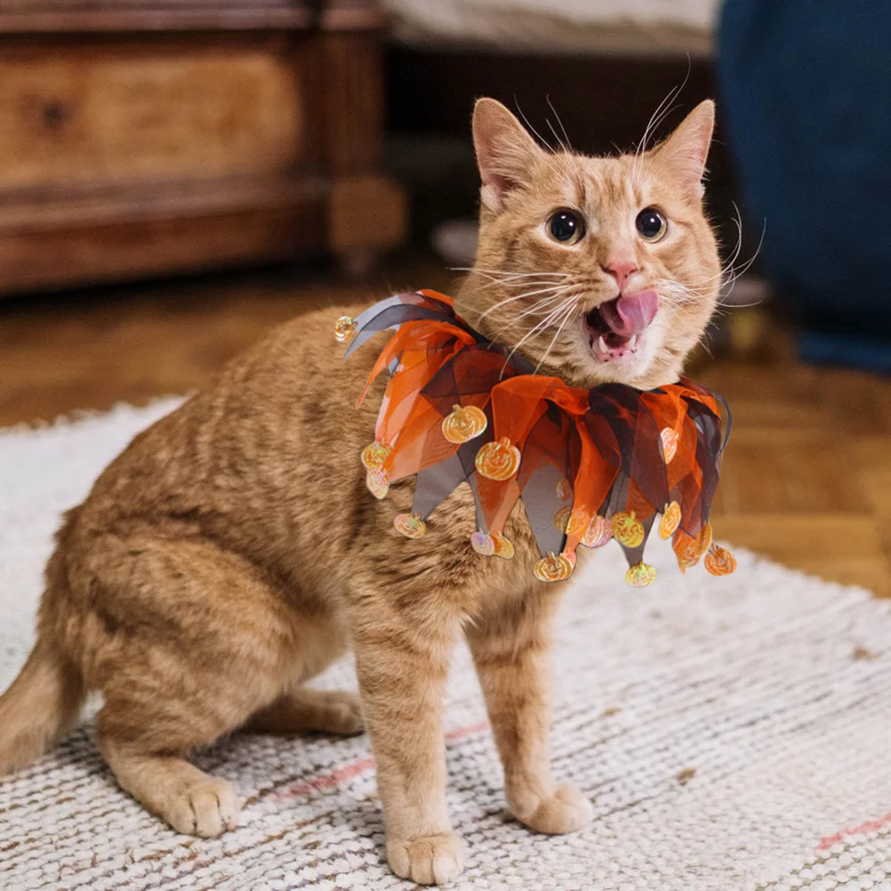 Halloween Cat Hat Scarf Set Creative Design Safe Comfortable Gentle for Pets Party Costume Accessory Washable Easy to Wear 
Halloween Cat Hat Scarf Set Creative Design Safe Comfortable Gentle for Pets Party Costume Accessory Washable Easy to Wear