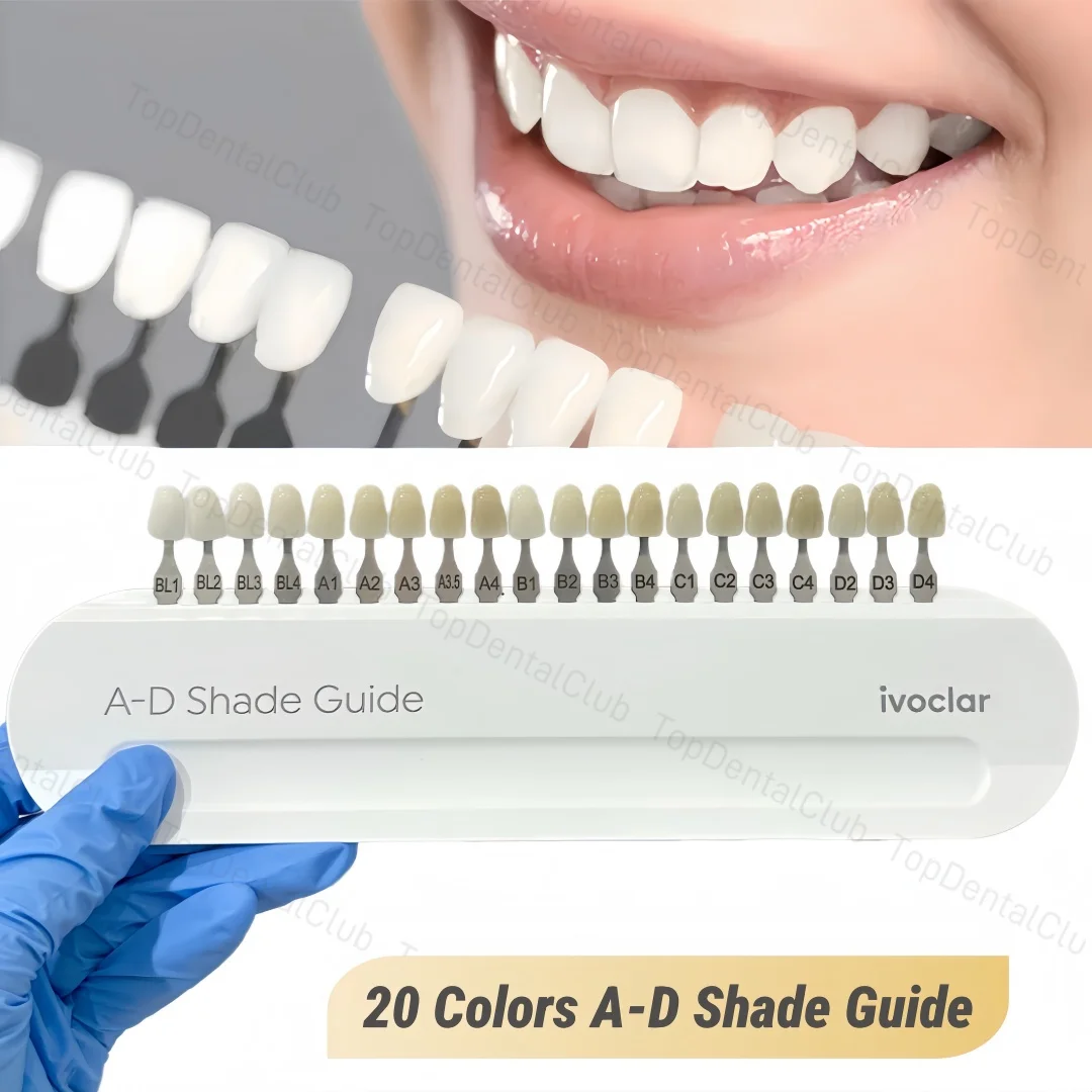 Dental Teeth Shade Guide A-D 20 Colors Porcelain Material Color Chart Teeth Whitening Comparing Tooth Based VITA
Dental Teeth Shade Guide A-D 20 Colors Porcelain Material Color Chart Teeth Whitening Comparing Tooth Based VITA