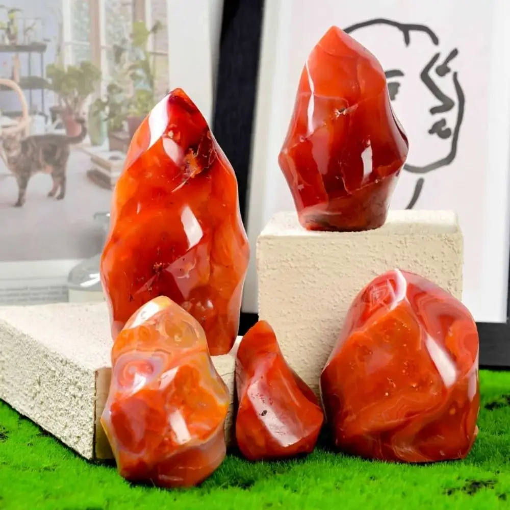 Natural Red Agate Flame Energy Quartz Crystal Home Decor Healing Crystal Reiki Chakra Meditation Gift Witch Altar Decor
Natural Red Agate Flame Energy Quartz Crystal Home Decor Healing Crystal Reiki Chakra Meditation Gift Witch Altar Decor