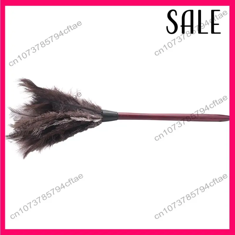 -A12R Ostrich Cleaning Feather Duster Ostrich Duster Ostrich Feather Duster Soft Feathers Duster From Furniture To Fan Blades
-A12R Ostrich Cleaning Feather Duster Ostrich Duster Ostrich Feather Duster Soft Feathers Duster From Furniture To Fan Blades