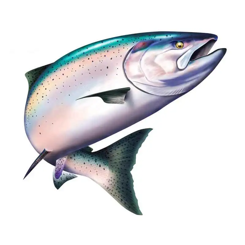 Y559# Salmon Vinyl Car Stickers Sunscreen Fine Decal Motorcycle Personality Occlusion Scratch Decoration Apply To Car
Y559# Salmon Vinyl Car Stickers Sunscreen Fine Decal Motorcycle Personality Occlusion Scratch Decoration Apply To Car