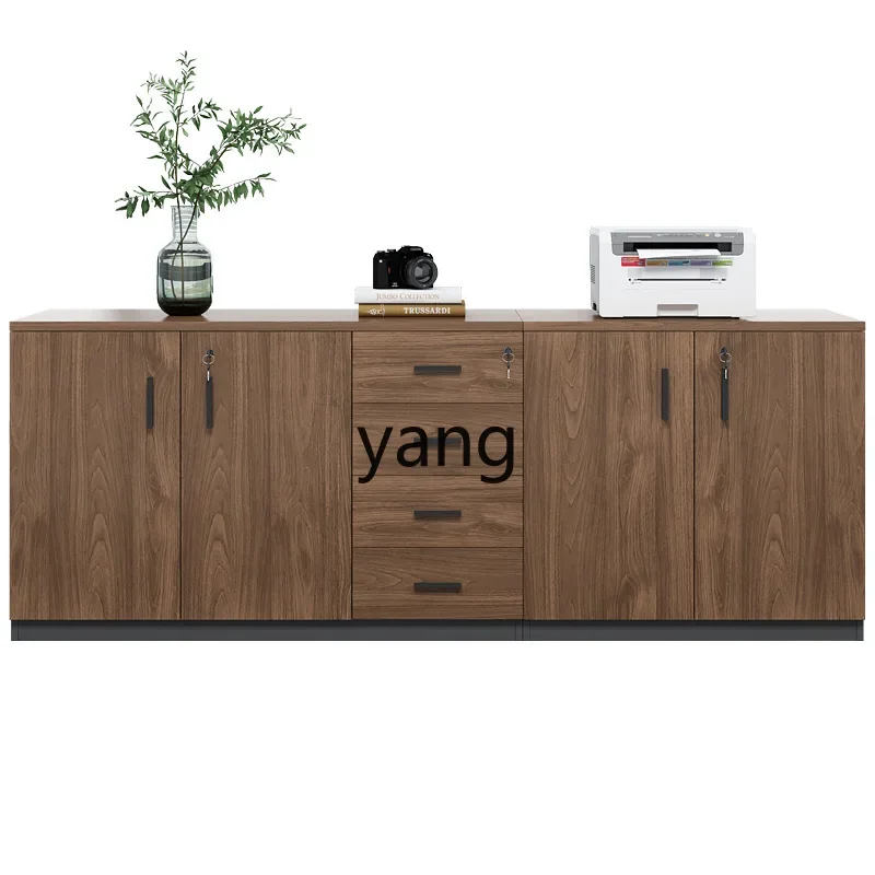 cx office information drawer cabinet with lock storage document printing cabinet
cx office information drawer cabinet with lock storage document printing cabinet