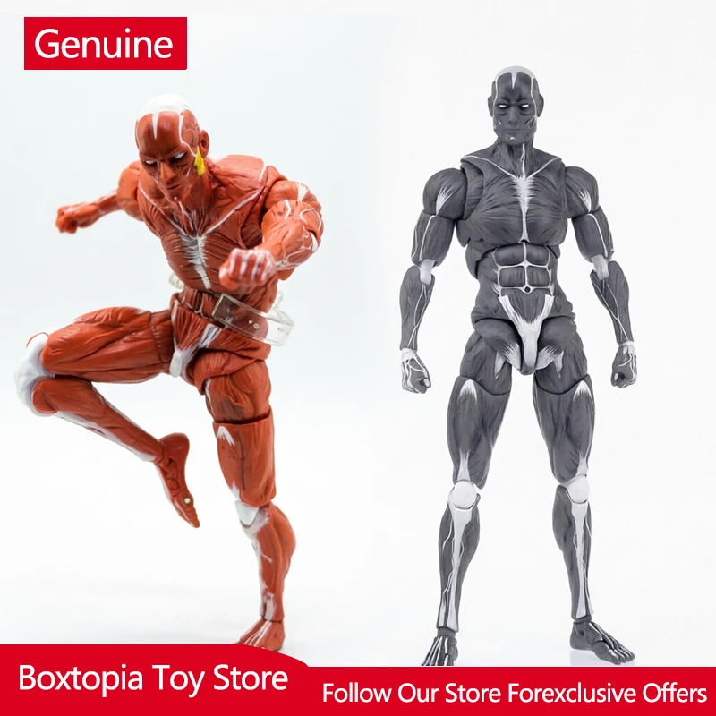 New Spot 1/12 Scale Keepgoing Human Muscle Model Super Movable Joint Muscle Body Painting Reference Collect Figure In Stock
New Spot 1/12 Scale Keepgoing Human Muscle Model Super Movable Joint Muscle Body Painting Reference Collect Figure In Stock