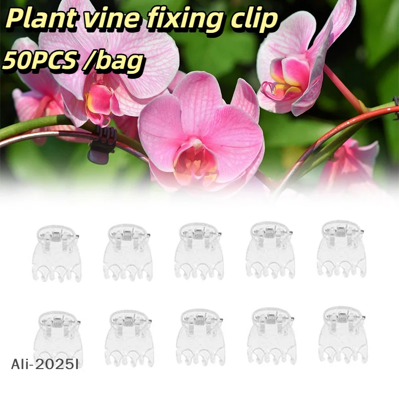 50Pcs Transparent Garden Plant vine fixing clip Plastic 6-Claw Orchid Clamp Flower Climbing Stem Butterfly Decorative Support
50Pcs Transparent Garden Plant vine fixing clip Plastic 6-Claw Orchid Clamp Flower Climbing Stem Butterfly Decorative Support