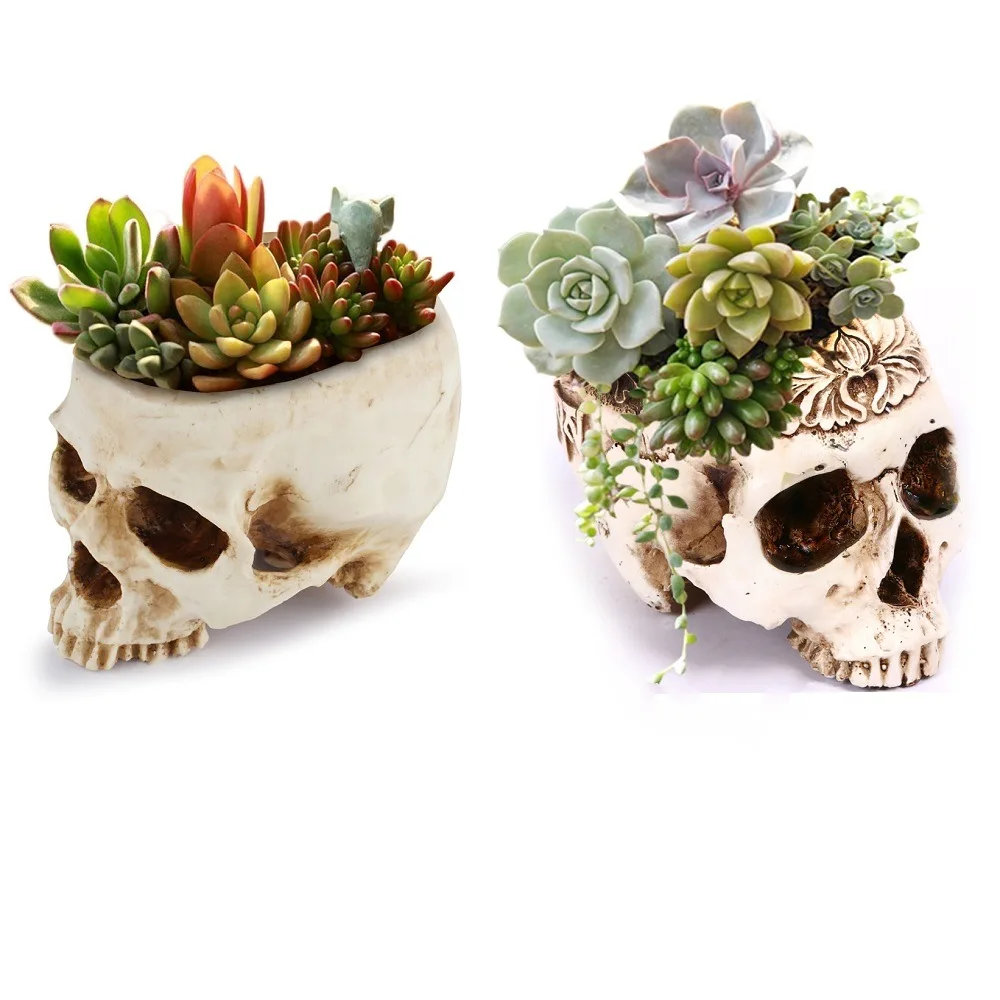 Halloween Skull Flower Pot Terrifying Head Shape Storage Jar Home Garden Decoration Halloween Party Ornament 1Pcs
Halloween Skull Flower Pot Terrifying Head Shape Storage Jar Home Garden Decoration Halloween Party Ornament 1Pcs