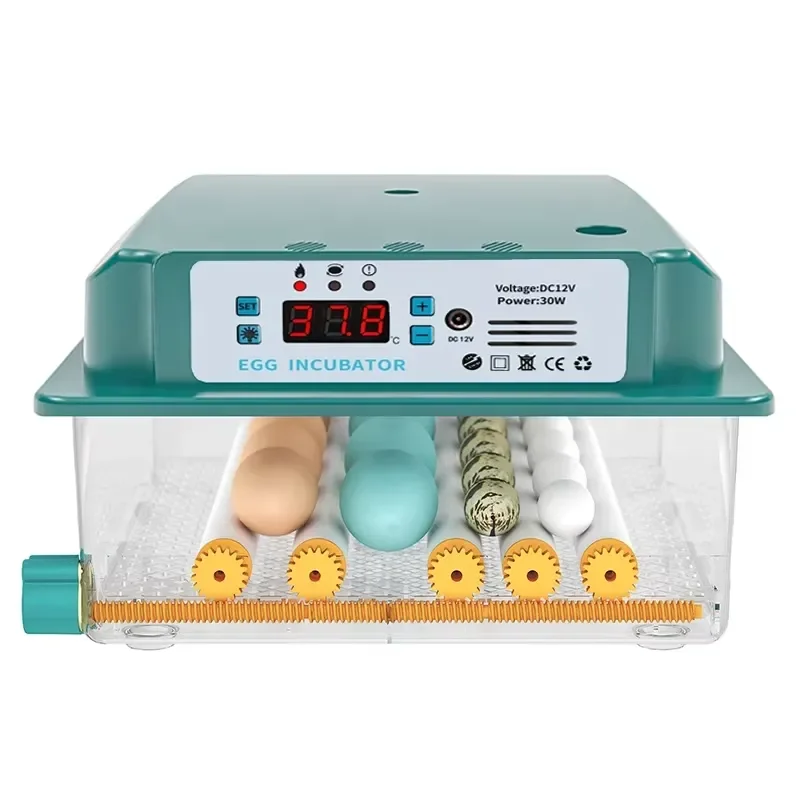 For 64 Egg Capacity Dual Power Fully Automatic Duck Quail Goose Chicken PP New Egg Incubator Hatching Machine 98% Hatching
For 64 Egg Capacity Dual Power Fully Automatic Duck Quail Goose Chicken PP New Egg Incubator Hatching Machine 98% Hatching