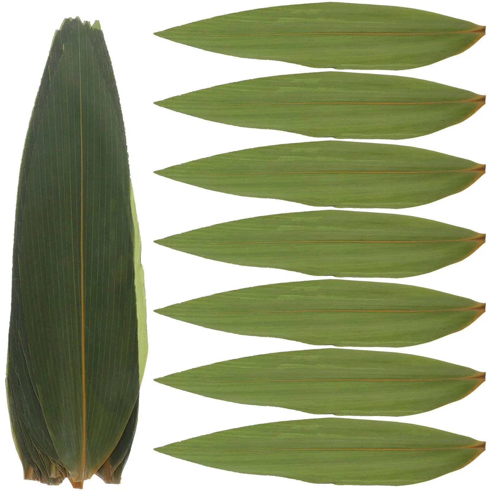 100Pcs Sushi Bamboo Leaves Dish Leaf Sashimi Decorative Grass Japanese Food Serving Disposable Sushi Plate Restaurant kichen use
100Pcs Sushi Bamboo Leaves Dish Leaf Sashimi Decorative Grass Japanese Food Serving Disposable Sushi Plate Restaurant kichen use