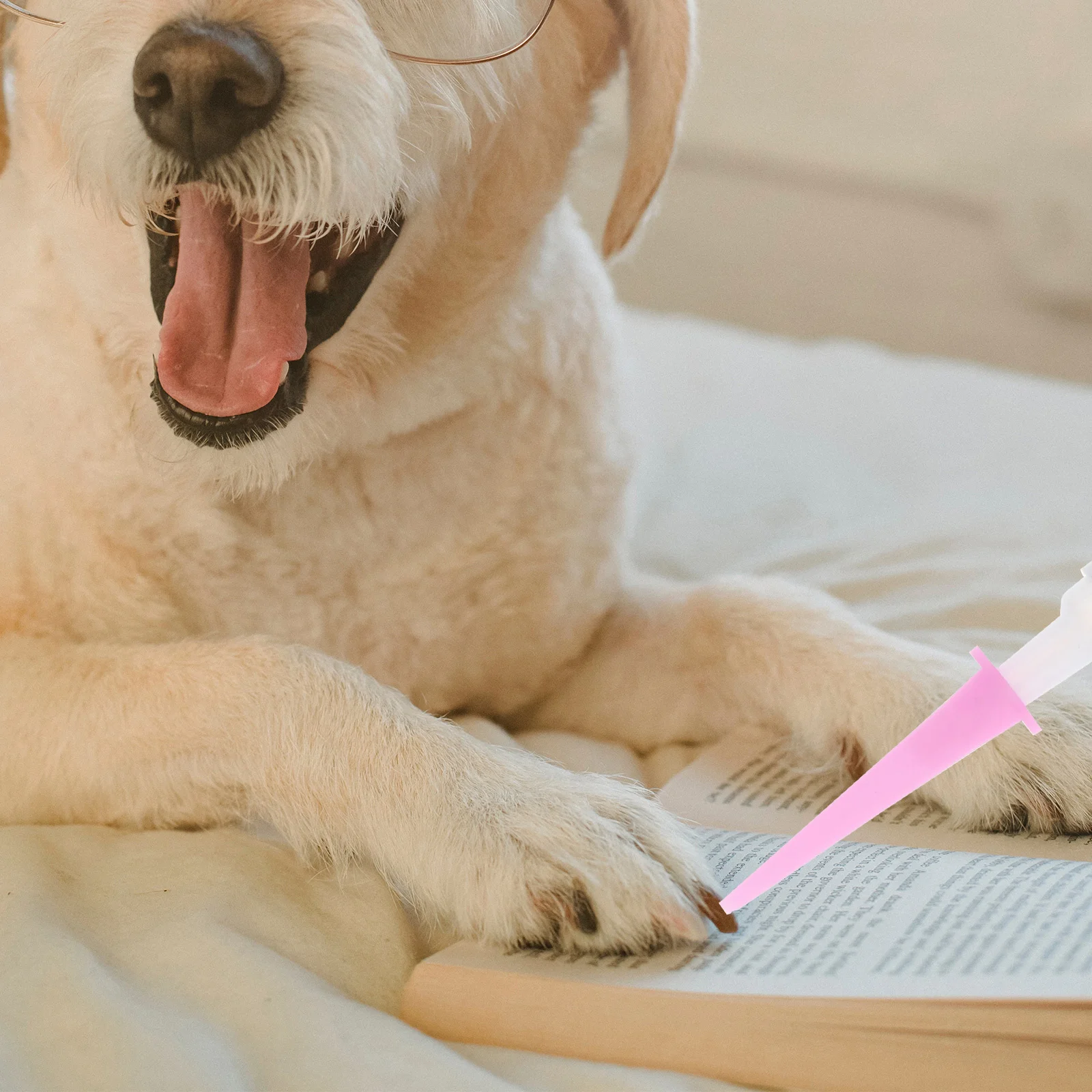 20Pcs Pet Nail Glue Adhesive for Cats Dogs Stick Caps Protect Furniture Easy to Use Pet Nail Glue Adhesive Glues for Cat
20Pcs Pet Nail Glue Adhesive for Cats Dogs Stick Caps Protect Furniture Easy to Use Pet Nail Glue Adhesive Glues for Cat