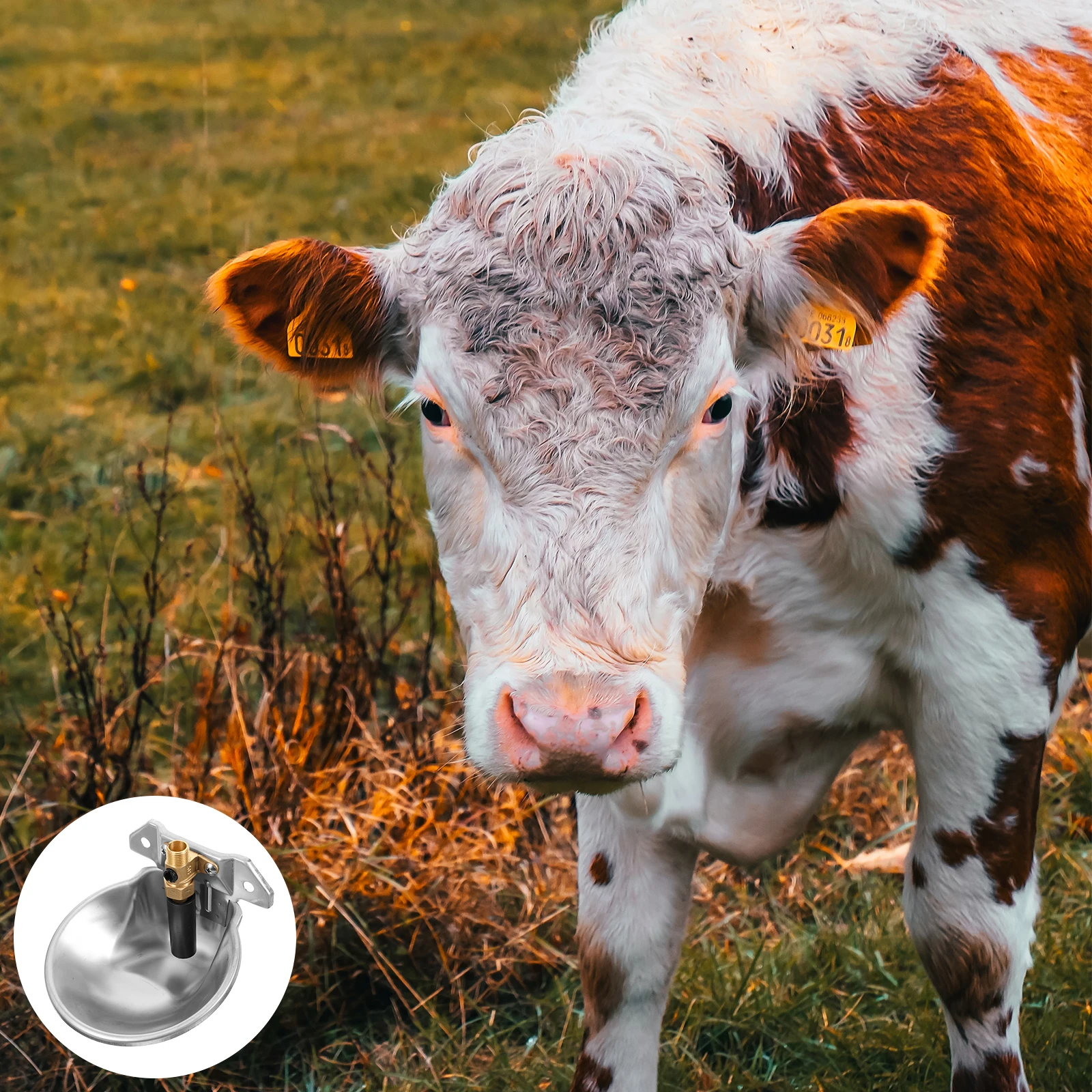 Automatic Water Dispenser 304 Stainless Steel Livestock Drinking Bowl Cattle Sheep Pig Farm Animals Cow Waterer Trough Long
Automatic Water Dispenser 304 Stainless Steel Livestock Drinking Bowl Cattle Sheep Pig Farm Animals Cow Waterer Trough Long