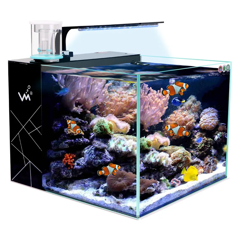 Bedroom Living Room Household Seawater Tank Small Desktop Back Self-circulation Filtration Silent Seawater Fish Tank Aquarium
Bedroom Living Room Household Seawater Tank Small Desktop Back Self-circulation Filtration Silent Seawater Fish Tank Aquarium