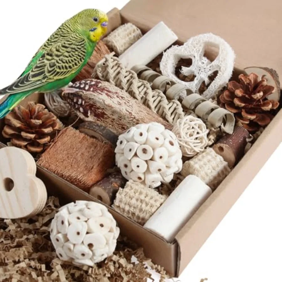 Bird Toys Parrot Toys tural Bird Foraging Box Feet for ParakeetsCockatiels Conures Love Birds and Other Small to Birds
Bird Toys Parrot Toys tural Bird Foraging Box Feet for ParakeetsCockatiels Conures Love Birds and Other Small to Birds