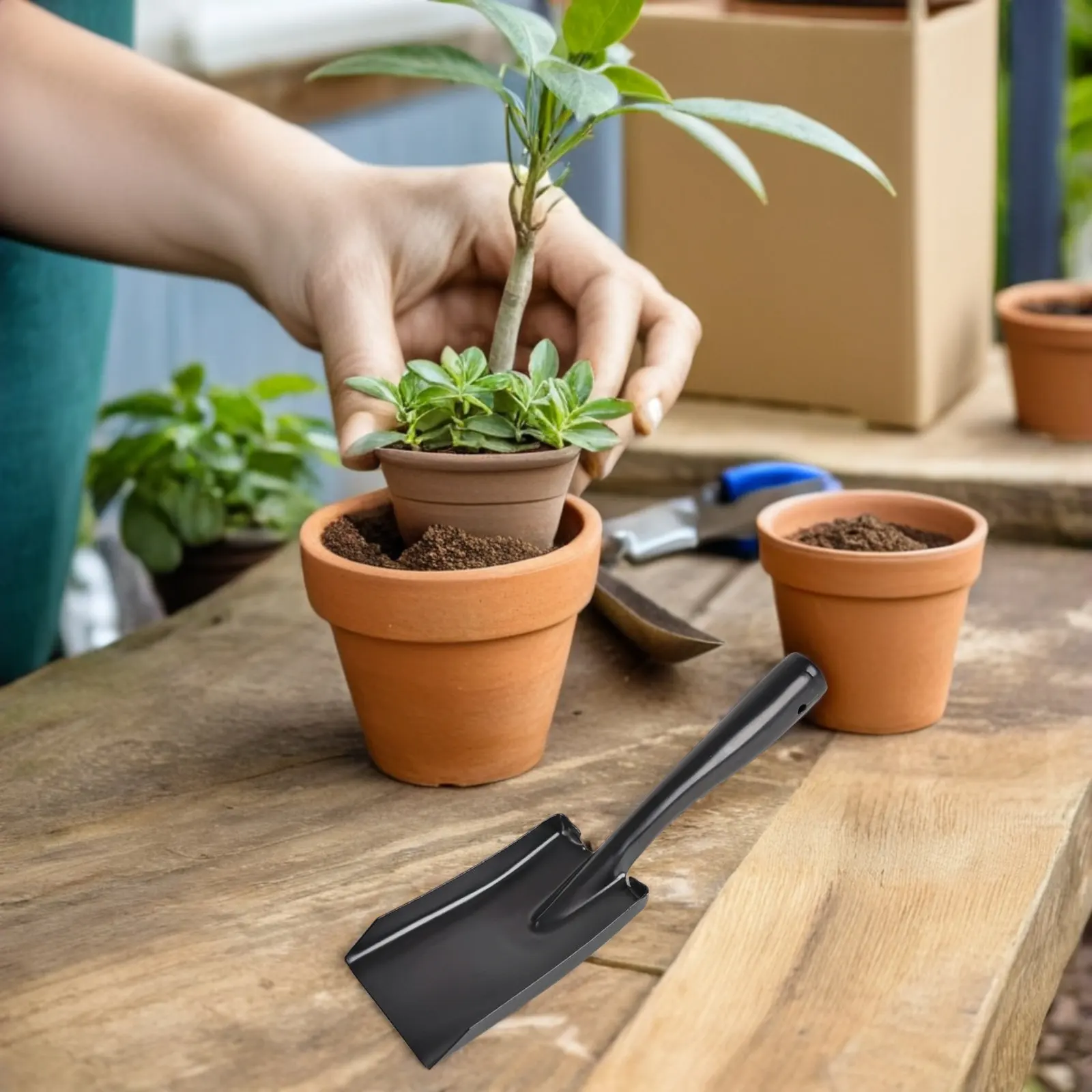 3Pcs Small Gardening Trowel Hand Tool Set Manganese Steel Metal Spatula Measuring Scale Hanging Hole Flower Pot Garden Tools Kit
3Pcs Small Gardening Trowel Hand Tool Set Manganese Steel Metal Spatula Measuring Scale Hanging Hole Flower Pot Garden Tools Kit