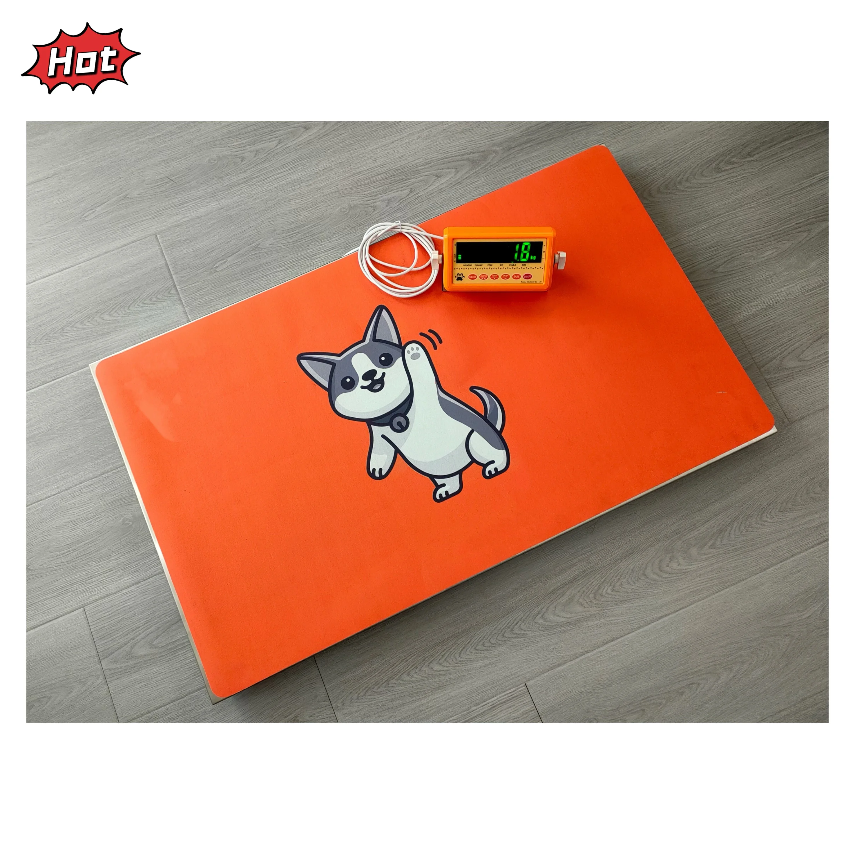 Intelligent Pull Digital Pet Weight Scale Large 100kg Capacity Platform for Dogs Double Display Veterinary Instrument
Intelligent Pull Digital Pet Weight Scale Large 100kg Capacity Platform for Dogs Double Display Veterinary Instrument