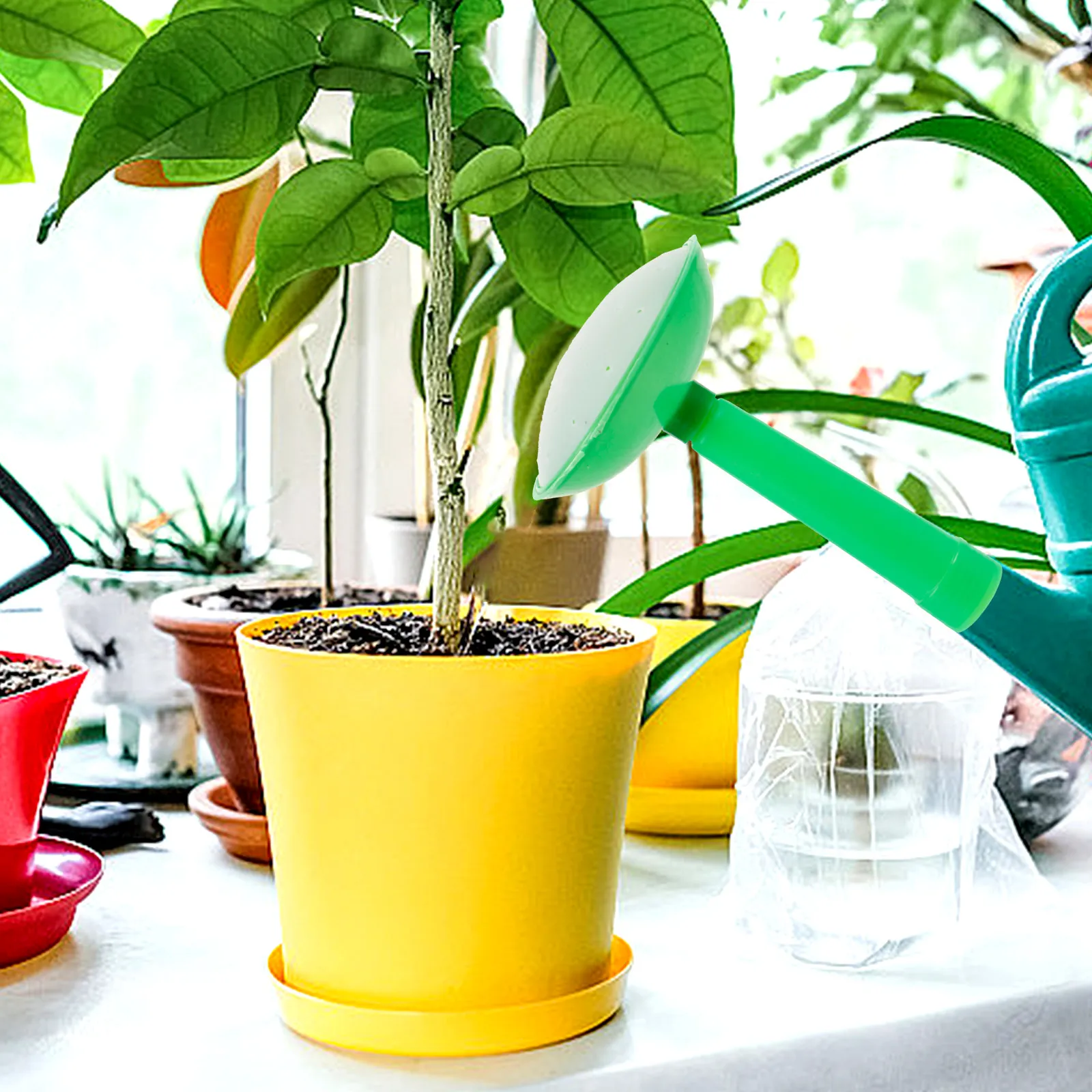 3Pcs Bottle Watering Spout Cap Sprinkler Head for Water Bottle Can Garden Bonsai Plants Smooth Surface Leak Proof Easy Operation
3Pcs Bottle Watering Spout Cap Sprinkler Head for Water Bottle Can Garden Bonsai Plants Smooth Surface Leak Proof Easy Operation