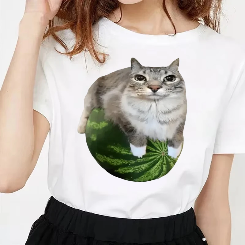 Забавная женская футболка в стиле 90-х с принтом арбузного кота, футболка с мемом о глупом коте, унисекс-свитшот Y2K с веселым принтом арбуза
Забавная женская футболка в стиле 90-х с принтом арбузного кота, футболка с мемом о глупом коте, унисекс-свитшот Y2K с веселым принтом арбуза