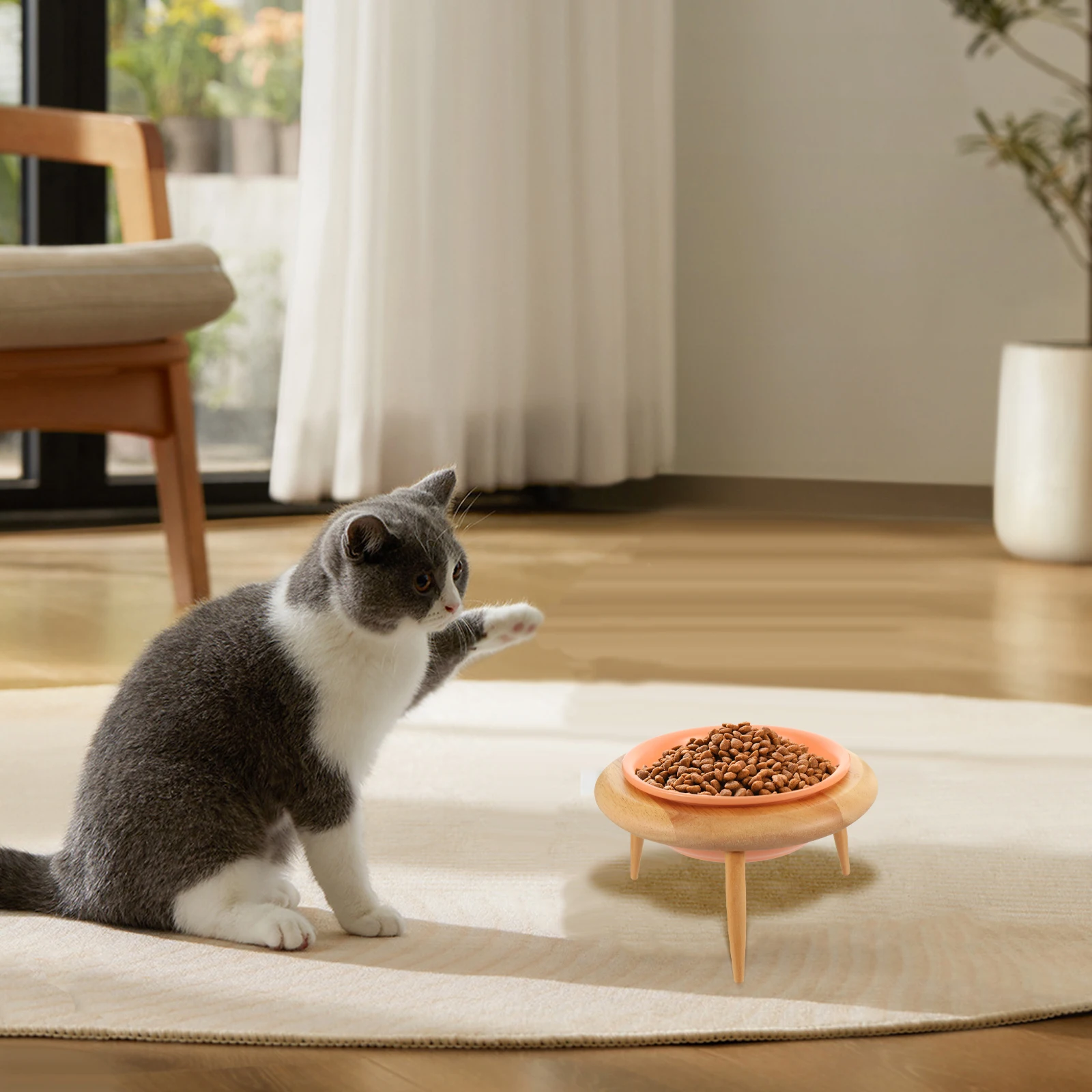 1 Set Elevated Ceramic Cat Food With Wooden Rack For Neck Protection Pet Feeding Bowl Dog Cat Premium Pet Supplies Feeding Bowl
1 Set Elevated Ceramic Cat Food With Wooden Rack For Neck Protection Pet Feeding Bowl Dog Cat Premium Pet Supplies Feeding Bowl
