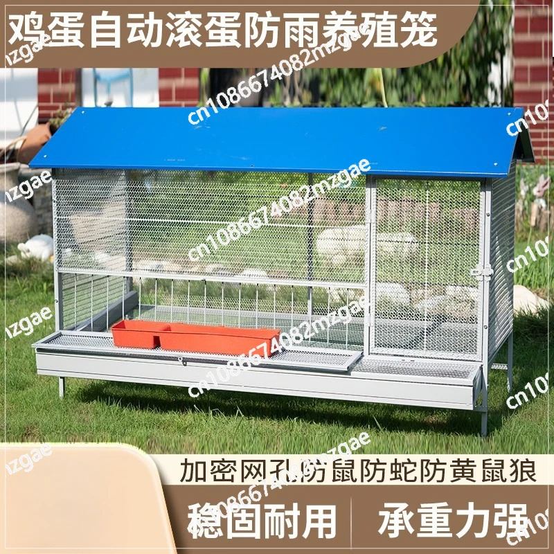 Outdoor pointed chicken cage, automatic egg cage, anti-stealing, encrypted mesh, anti-weasel mouse, no rust breeding cage
Outdoor pointed chicken cage, automatic egg cage, anti-stealing, encrypted mesh, anti-weasel mouse, no rust breeding cage
