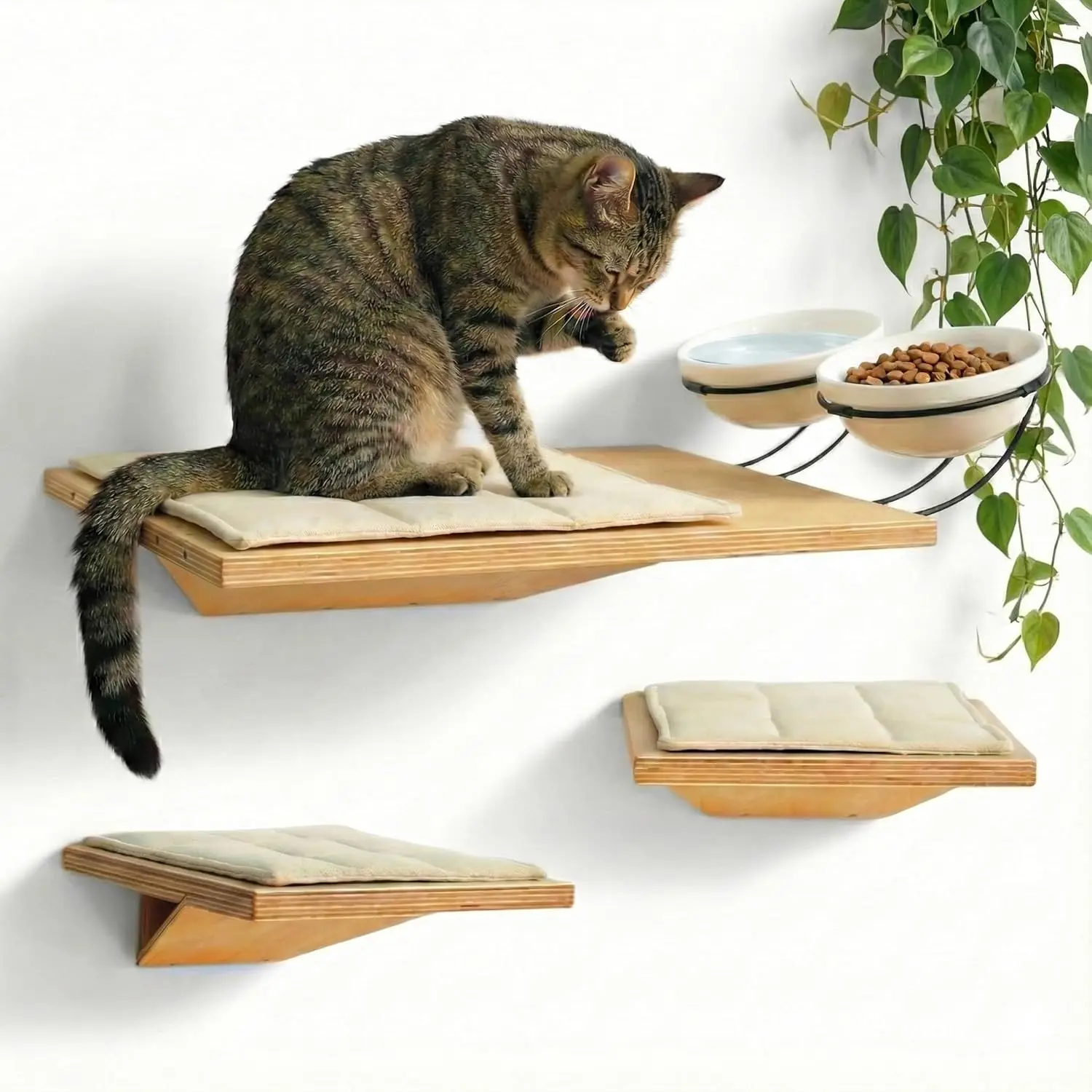 Wall Mounted Cat Shelves with Elevated Ceramic Feeding Station–Scandinavian Floating Design, Solid Plywood, Two ClimSteps
Wall Mounted Cat Shelves with Elevated Ceramic Feeding Station–Scandinavian Floating Design, Solid Plywood, Two ClimSteps