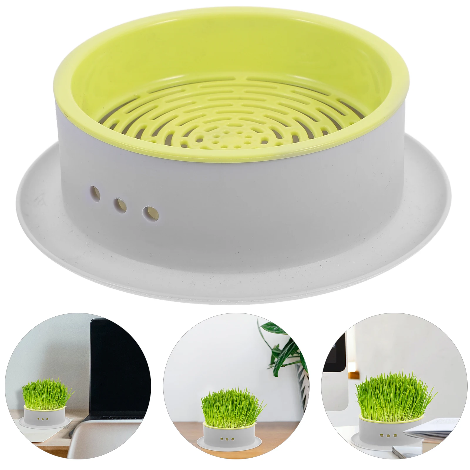 Cat Grass Soilless Hydroponic Planter Indoor Growing Pot Container Snack Promote Digestion Pet Planting
Cat Grass Soilless Hydroponic Planter Indoor Growing Pot Container Snack Promote Digestion Pet Planting