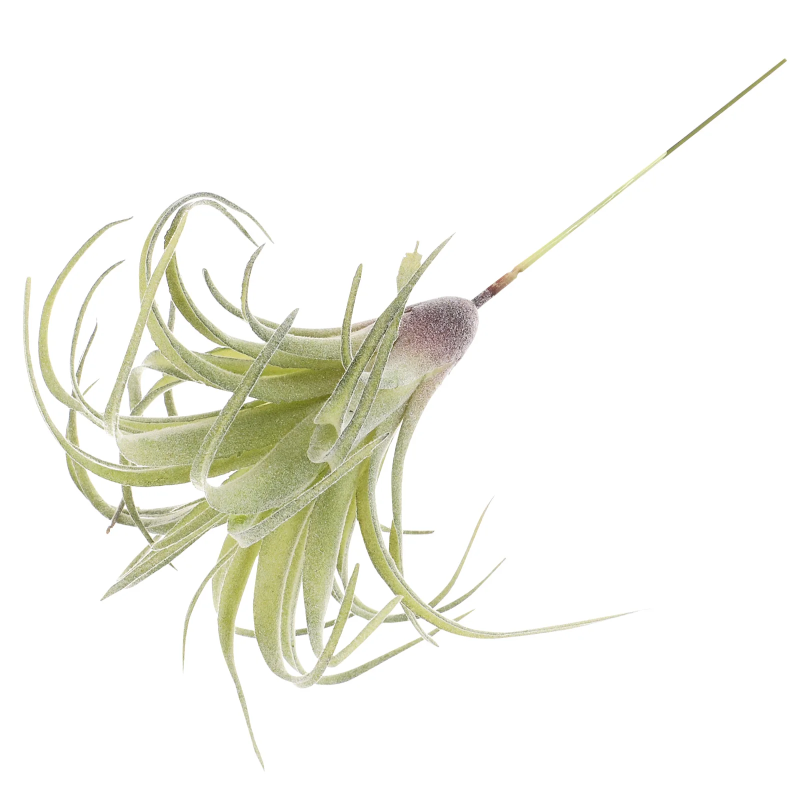 Artificial Flower Large Greenery Photo Props Plant Home Office Wedding Decor Rustic Style Simulation Plant Artificial
Artificial Flower Large Greenery Photo Props Plant Home Office Wedding Decor Rustic Style Simulation Plant Artificial