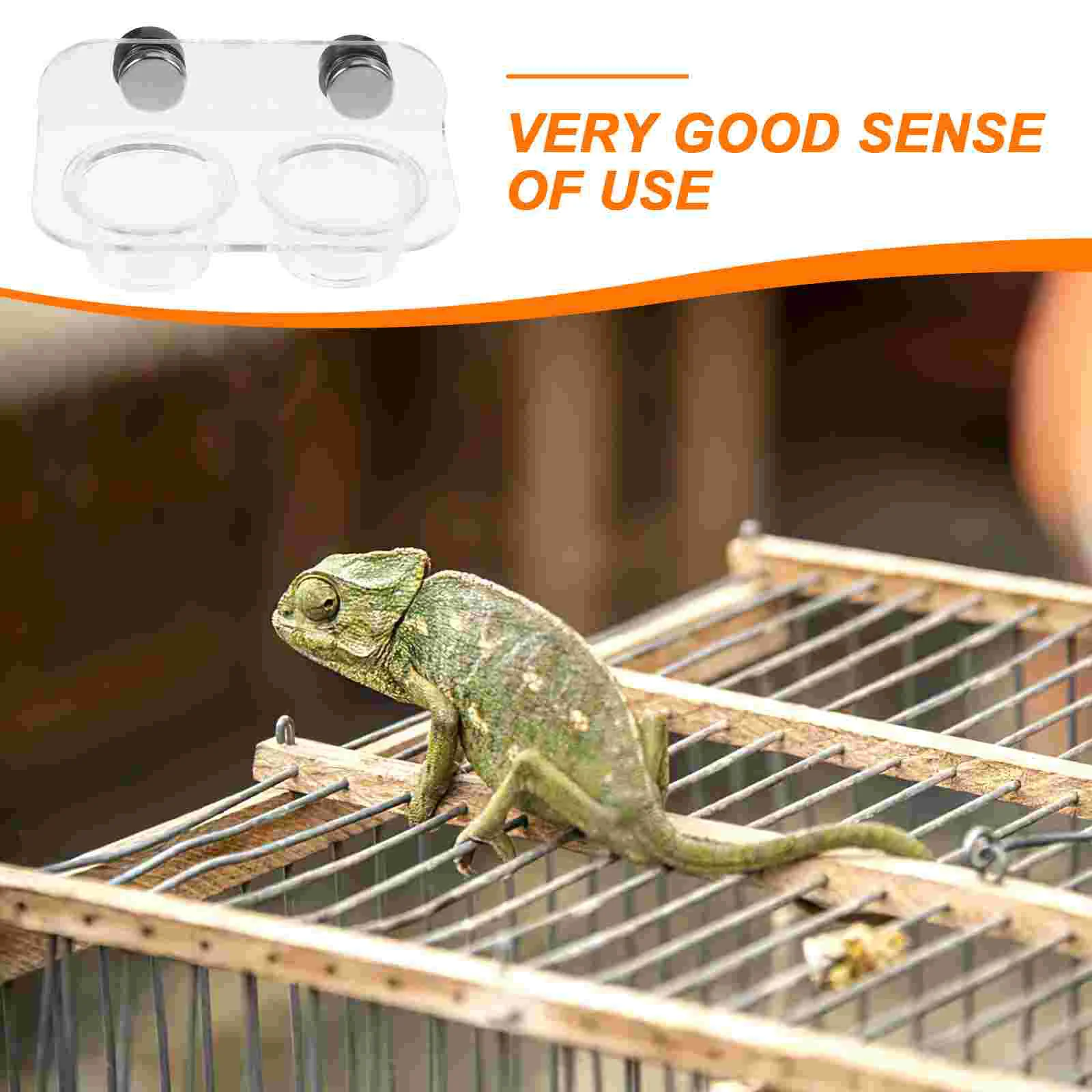 Gecko Magnetic Feeder Baby Toy Reptile Live Food Plastic Feeding Ledge for Reptiles
Gecko Magnetic Feeder Baby Toy Reptile Live Food Plastic Feeding Ledge for Reptiles