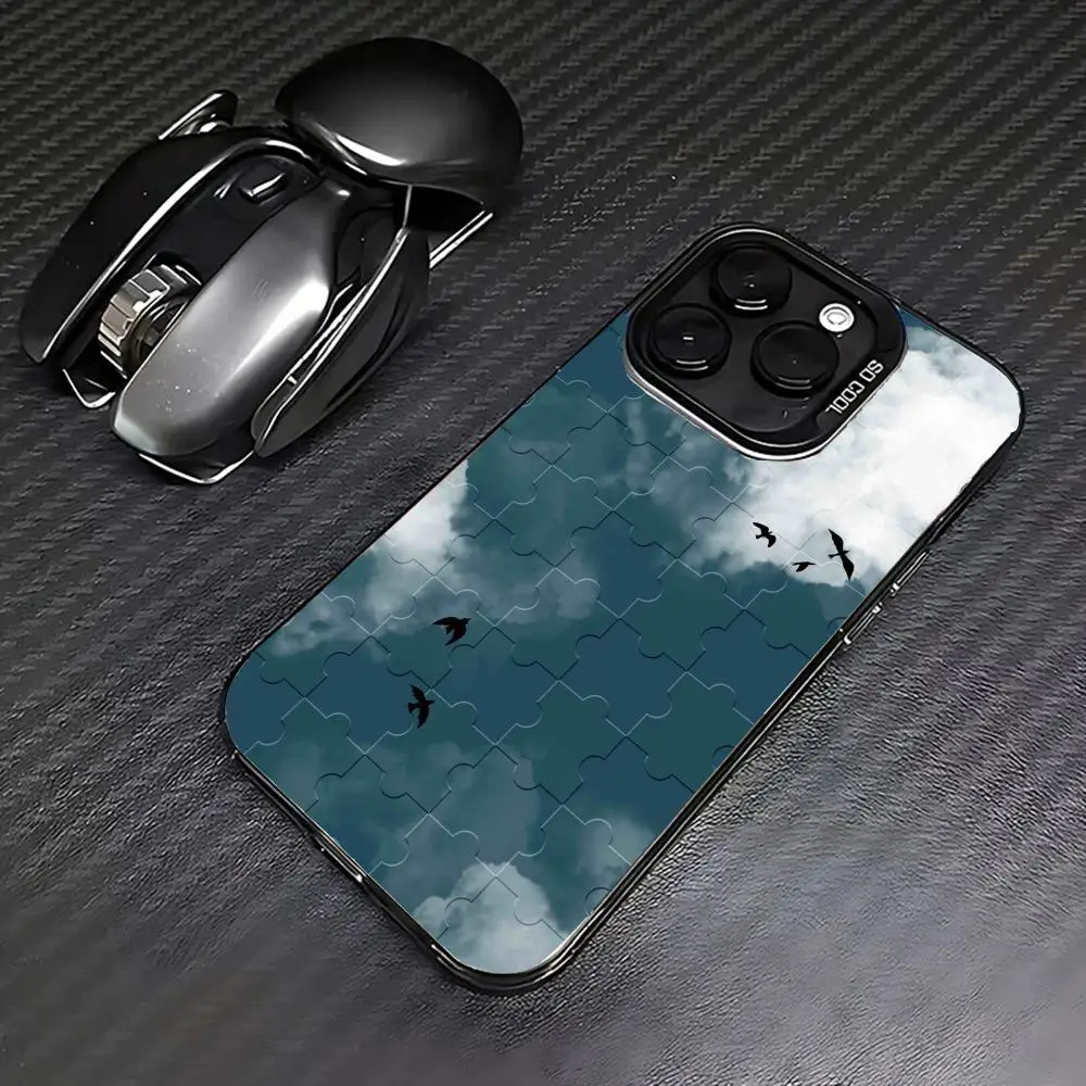 Flying birds case for iPhone17 16 15 14 13 12 11 Pro/ Max/Plus shock-proof rear cover anti-fingerprint 
Flying birds case for iPhone17 16 15 14 13 12 11 Pro/ Max/Plus shock-proof rear cover anti-fingerprint