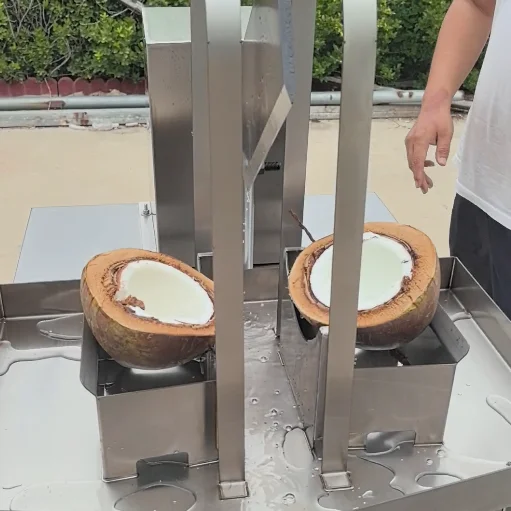 Automatic Young Coconut Half Cutting Equipment Electric Fresh Coconut Splitting Machine
Automatic Young Coconut Half Cutting Equipment Electric Fresh Coconut Splitting Machine