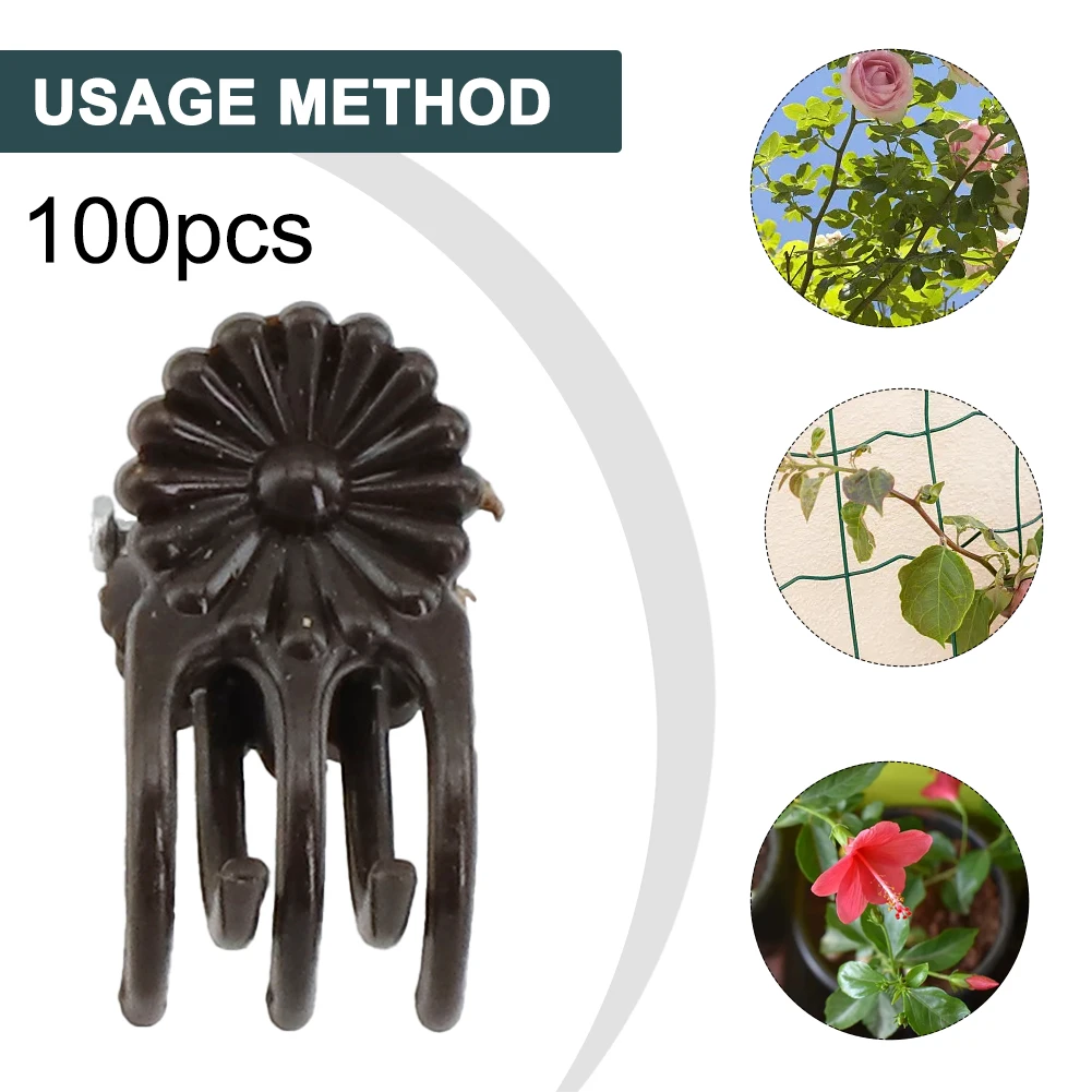 Держатель для цветов орхидеи, зажимы для орхидеи, зажимы для зеленых растений, 100 шт., зажим для ветвей, застежка для скалолазания, высокое качество
Держатель для цветов орхидеи, зажимы для орхидеи, зажимы для зеленых растений, 100 шт., зажим для ветвей, застежка для скалолазания, высокое качество