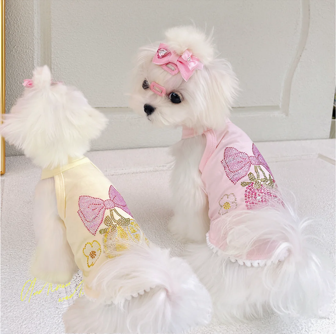 Sparkling Rhinestone Fruit Dog Tank Top - Cute Bow Pet Vest for Small Dogs Yorkie Chihuahua
Sparkling Rhinestone Fruit Dog Tank Top - Cute Bow Pet Vest for Small Dogs Yorkie Chihuahua