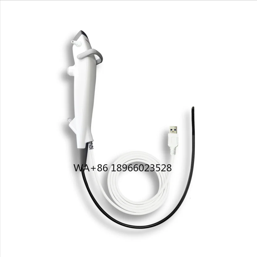 Ручной цифровой гибкий 2,4 большой угол холодоскопа степлер USB эндоскоп осмотр оптоволокно
Ручной цифровой гибкий 2,4 большой угол холодоскопа степлер USB эндоскоп осмотр оптоволокно