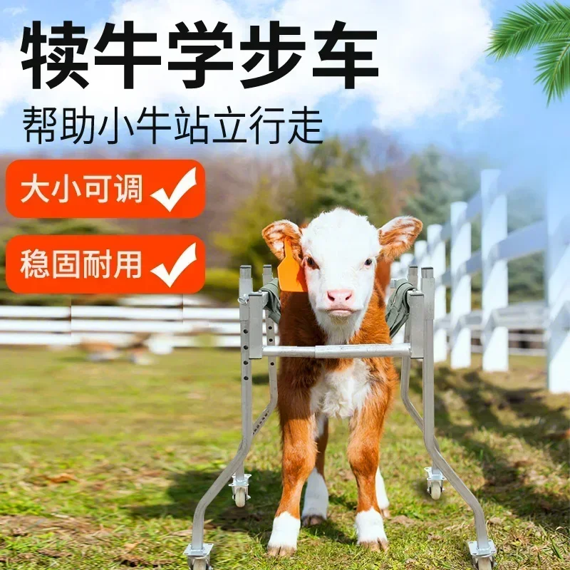 Cattle for Veterinary Calf Walkers, Standing Up Rehabilitation Vehicles, Calf Walker Breeding, Thickened and Reinforced
Cattle for Veterinary Calf Walkers, Standing Up Rehabilitation Vehicles, Calf Walker Breeding, Thickened and Reinforced