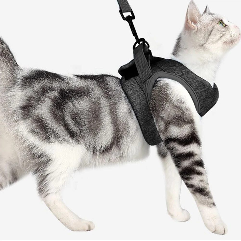 Pet Harness for Dog Cat Lightweight Adjustable Strap Outdoor Supplies Puppy Accessories Strap Cosplay Costumes
Pet Harness for Dog Cat Lightweight Adjustable Strap Outdoor Supplies Puppy Accessories Strap Cosplay Costumes