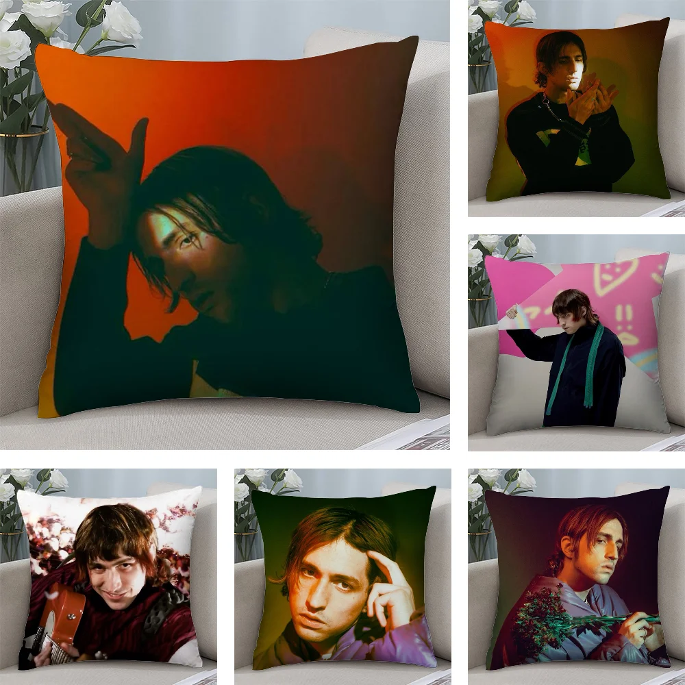 P-Porter R-Robinson Pillow Case Short Plush Pillow Covers Sofa Decorative Gift Home Double-sided Printing Cushion Cover
P-Porter R-Robinson Pillow Case Short Plush Pillow Covers Sofa Decorative Gift Home Double-sided Printing Cushion Cover