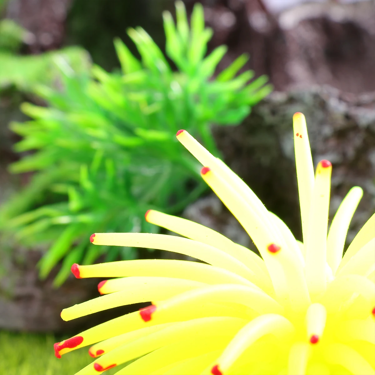 Decorations Artificial Coral Fish Tank Plant Ornaments Elasticity Aquarium Green Landscaping Yellow
Decorations Artificial Coral Fish Tank Plant Ornaments Elasticity Aquarium Green Landscaping Yellow