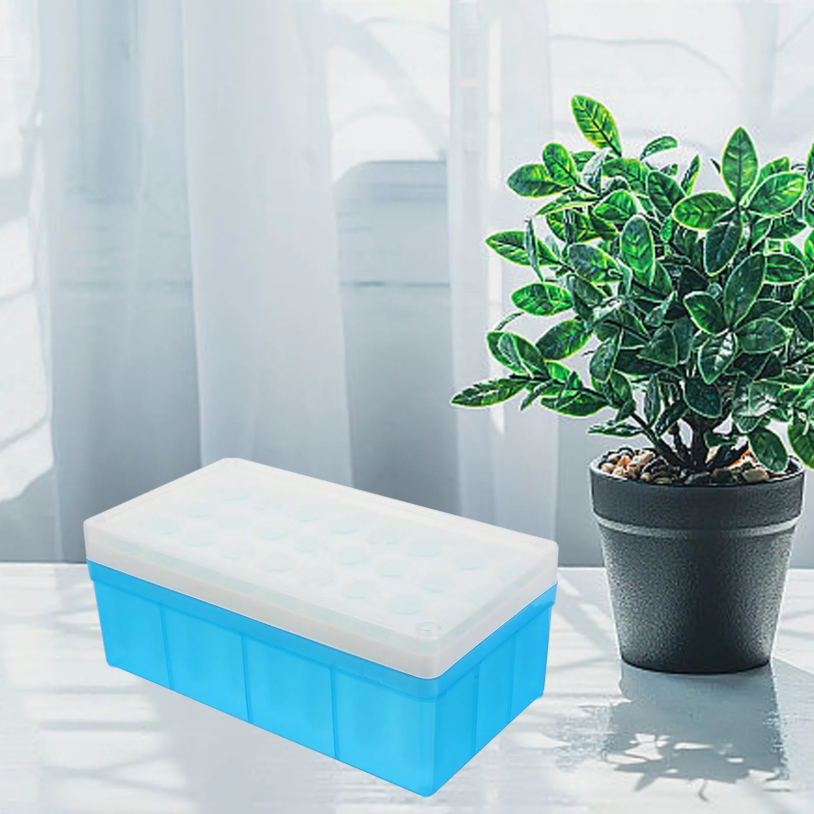 32 Hole Seed Storage Box Transparent Blue Plant Seeds ganizer Easy Small Containers Multi Slots Gardening
32 Hole Seed Storage Box Transparent Blue Plant Seeds ganizer Easy Small Containers Multi Slots Gardening