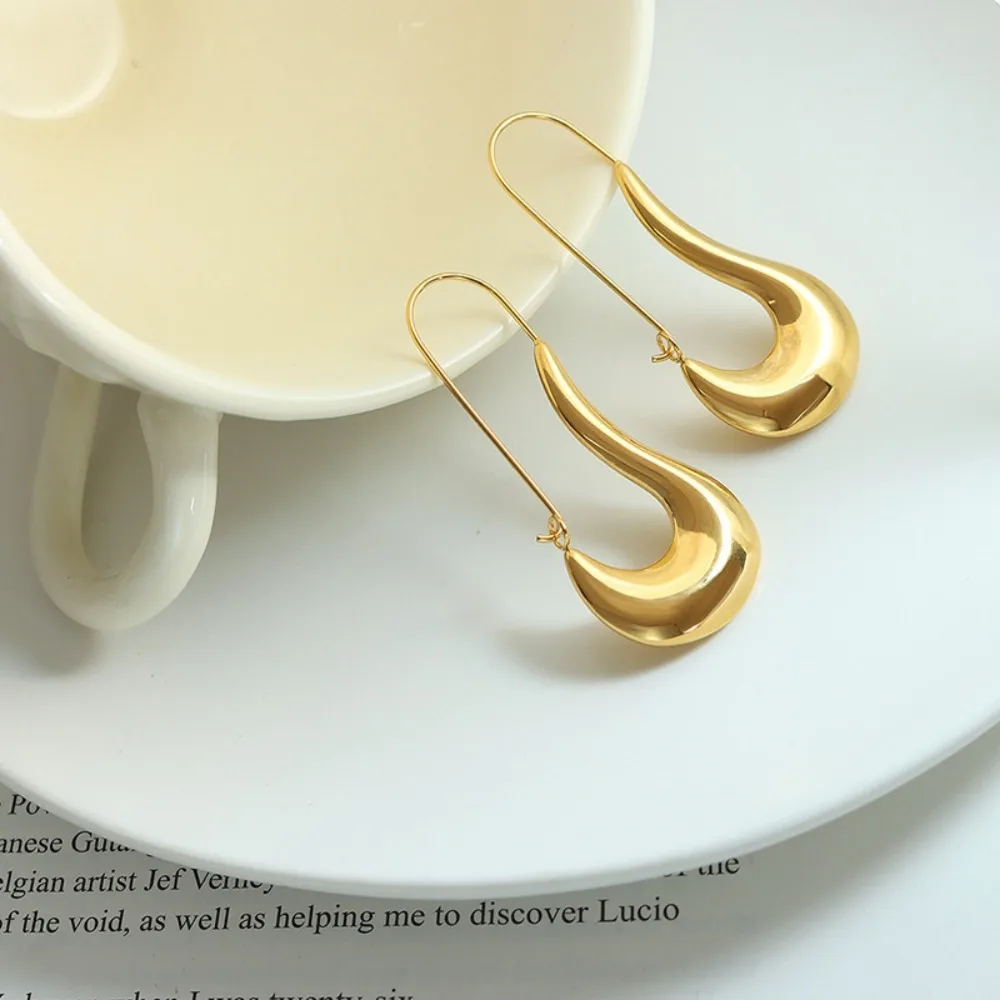 Stainless Steel Minimalist Style Hooked Earrings for Women Fashionable and Versatile Jewelry Accessories
Stainless Steel Minimalist Style Hooked Earrings for Women Fashionable and Versatile Jewelry Accessories
