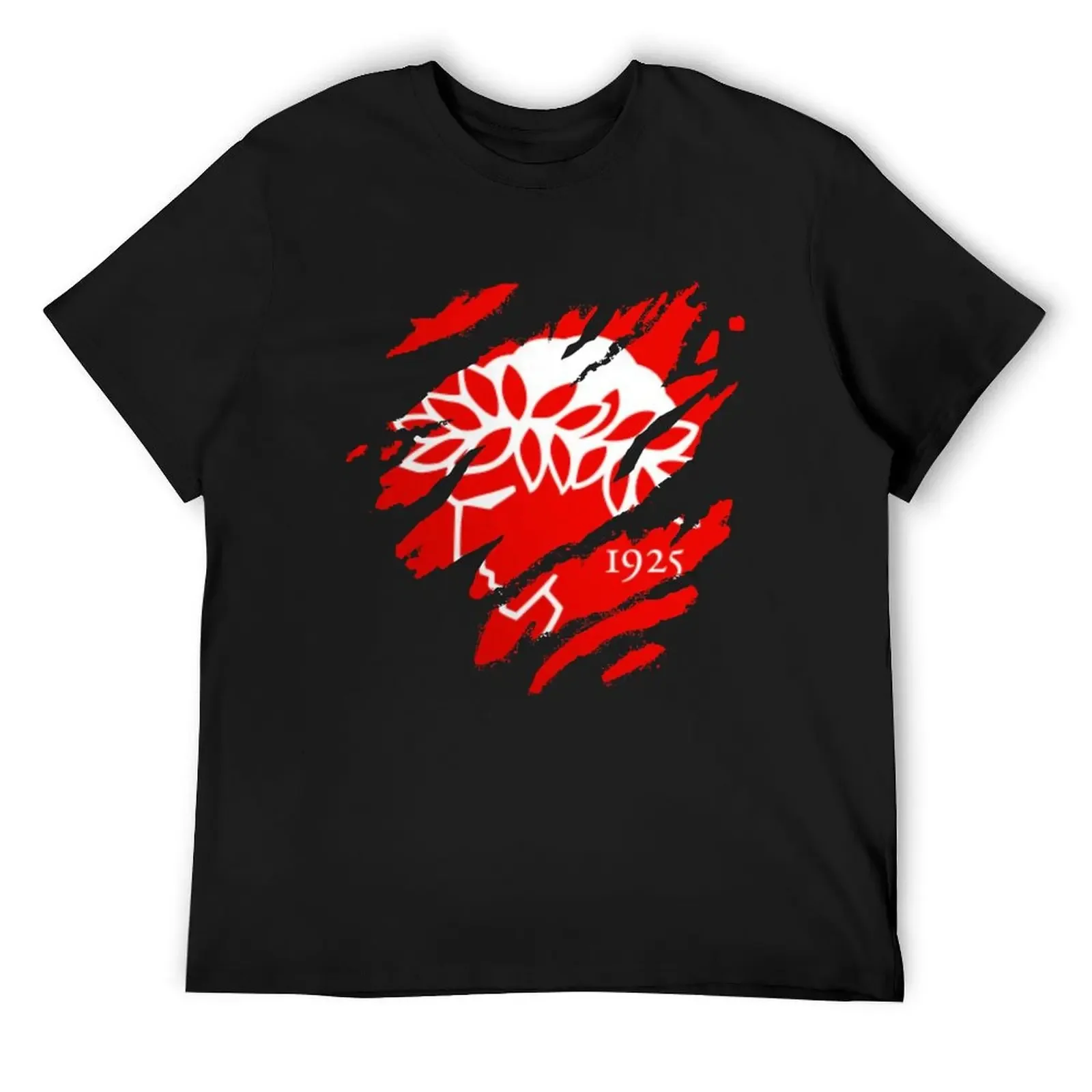 Olympiakos Piraeus Greece Fans Gate 7 T-Shirt plus sizes summer 2025 vintage t shirts slim fit t shirts for men
Olympiakos Piraeus Greece Fans Gate 7 T-Shirt plus sizes summer 2025 vintage t shirts slim fit t shirts for men