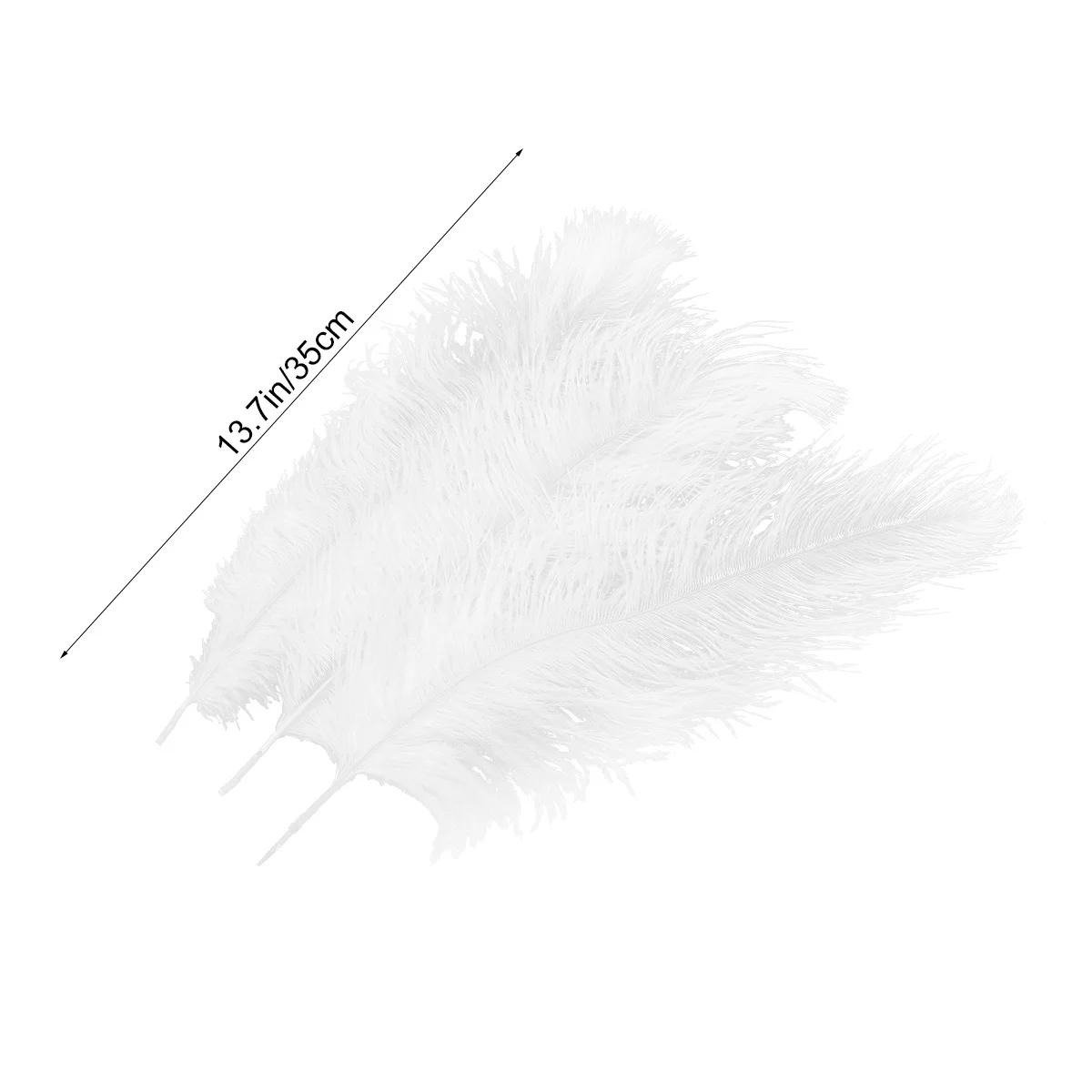 15 шт. 30-35 см белый страусиный натуральный шлейф для свадебной вечеринки, украшения дома, ремесло, принадлежности для хвоста своими руками 
15 шт. 30-35 см белый страусиный натуральный шлейф для свадебной вечеринки, украшения дома, ремесло, принадлежности для хвоста своими руками