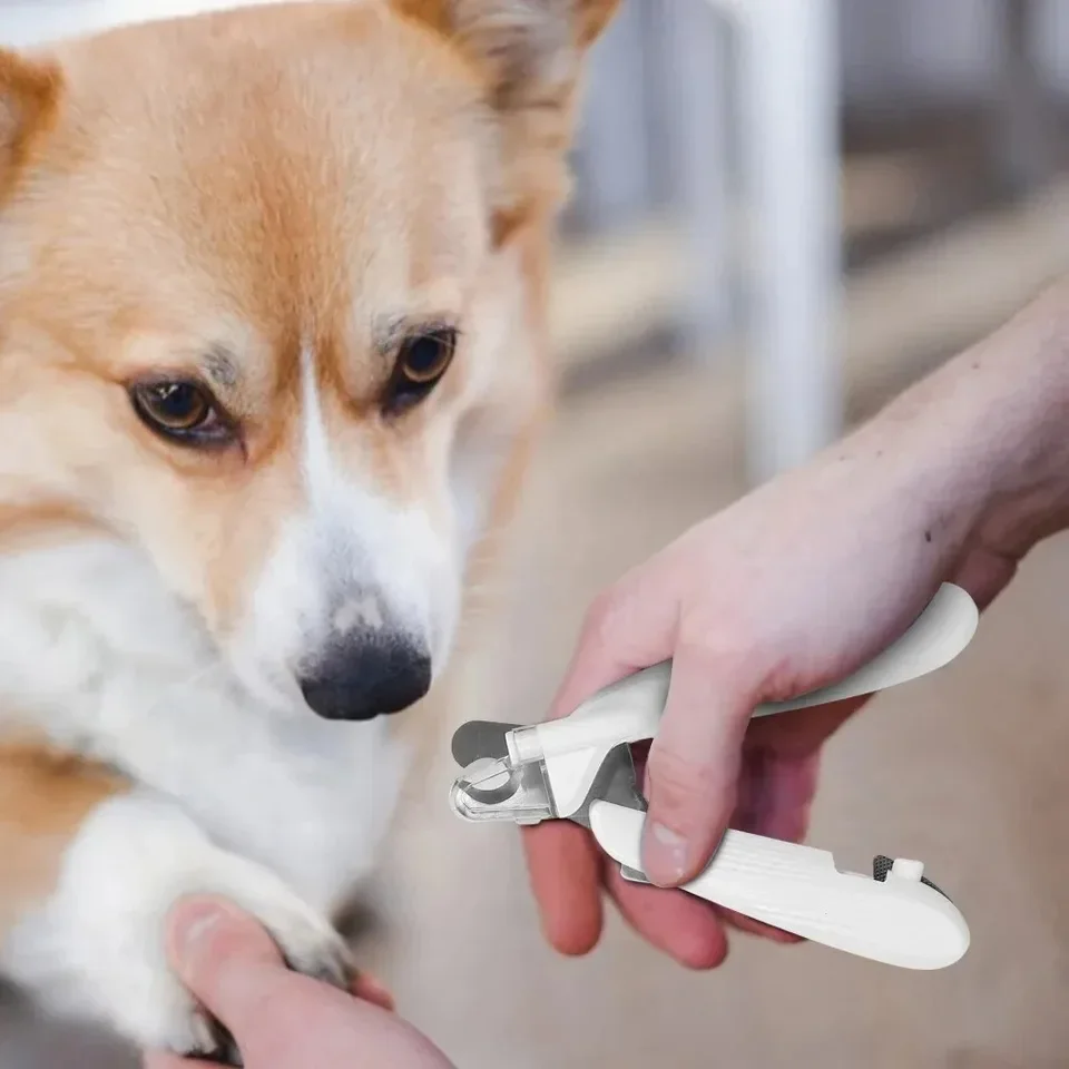 Pet Nail Clippers with LED Light,Hygiene LED Light Cat/Dog Claw Clipper Splash-Protection for Small Medium Pets.
Pet Nail Clippers with LED Light,Hygiene LED Light Cat/Dog Claw Clipper Splash-Protection for Small Medium Pets.