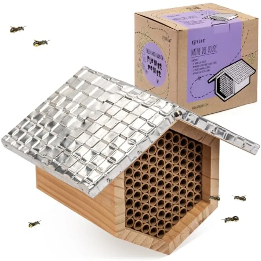 Beekeeper Pro Mach II Mason Bee House - Strong + Waterproof Bee Hotel and Insect Habitat - Replaceable Mason Bee Tubes Filled B
Beekeeper Pro Mach II Mason Bee House - Strong + Waterproof Bee Hotel and Insect Habitat - Replaceable Mason Bee Tubes Filled B