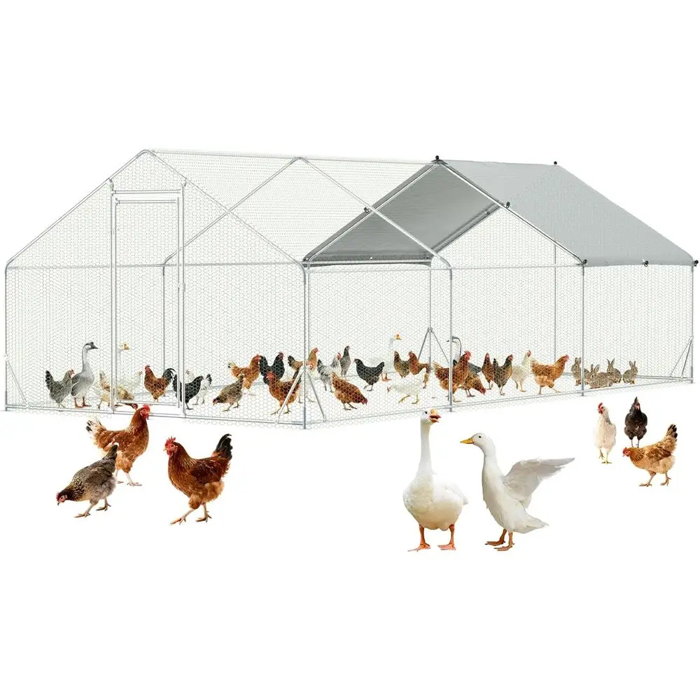 10x20 Walk-in Chicken Coop for 30 Birds with Security Lock, Outdoor Enclosure for Ducks, Rabbits, and Backyard Poultry
10x20 Walk-in Chicken Coop for 30 Birds with Security Lock, Outdoor Enclosure for Ducks, Rabbits, and Backyard Poultry