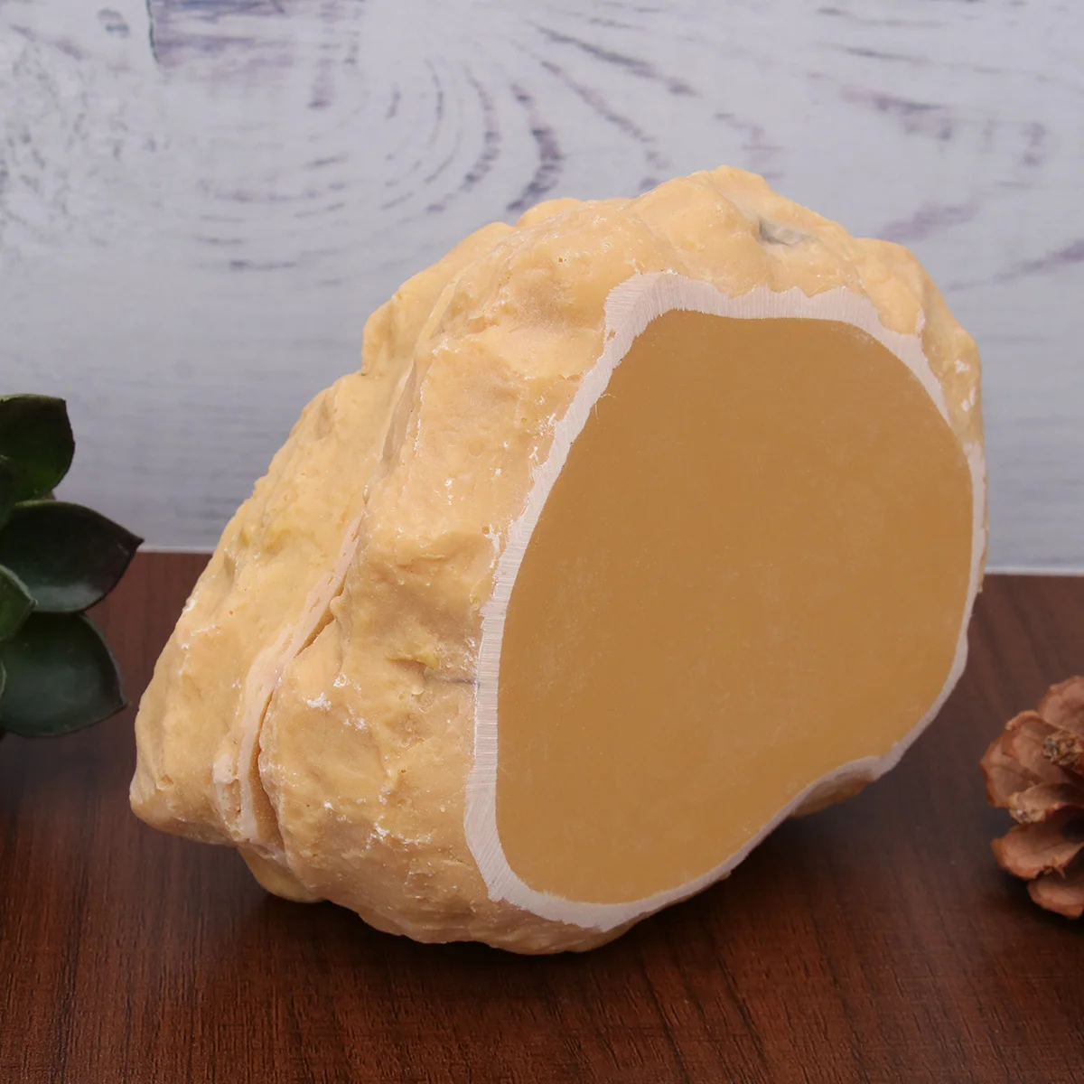 Crawler Hiding Cave Size L Natural Reptile Shelter Secure Hideout for Hermit Crabs Spiders Lizards Reptile Supplies 
Crawler Hiding Cave Size L Natural Reptile Shelter Secure Hideout for Hermit Crabs Spiders Lizards Reptile Supplies