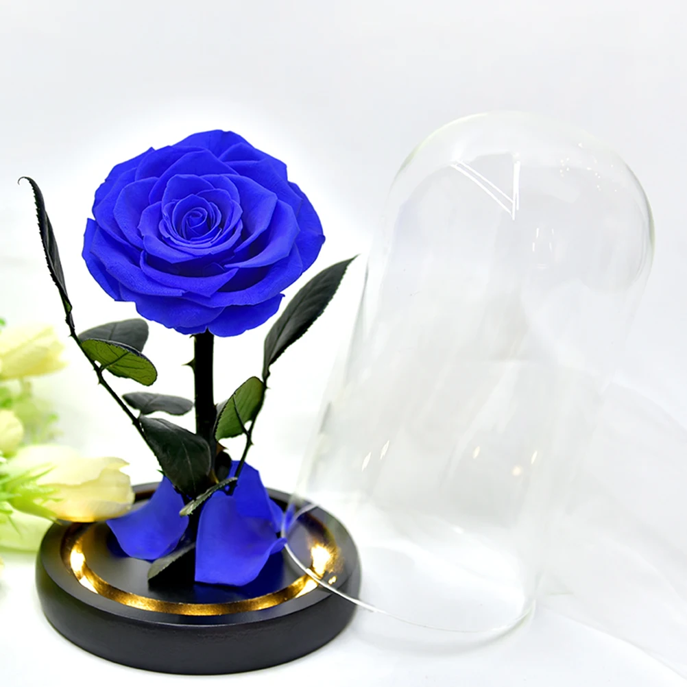 1Pcs Preserved Rose Bottle Light Blue Gift Box Eternal Fresh Flower Valentine's Day Gift Eternal Fresh Flower Bottle Light
1Pcs Preserved Rose Bottle Light Blue Gift Box Eternal Fresh Flower Valentine's Day Gift Eternal Fresh Flower Bottle Light