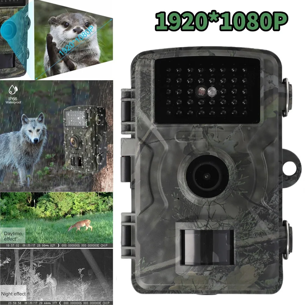 16MP Hunting Scouting Trail Camera Motion Activated Security For Night Vision Camera Multi-Language Wildlife Scouting Camera
16MP Hunting Scouting Trail Camera Motion Activated Security For Night Vision Camera Multi-Language Wildlife Scouting Camera
