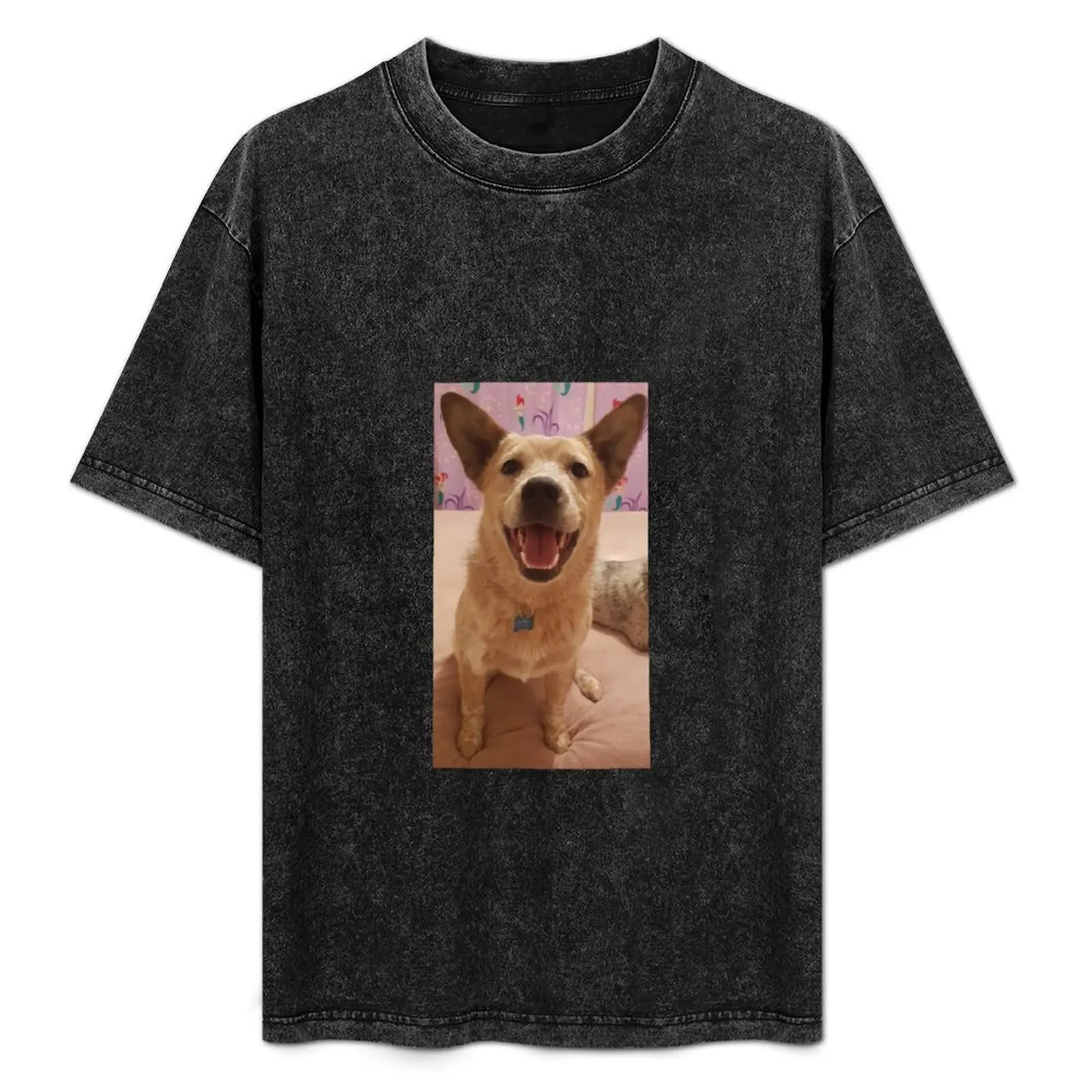 Oli the Red Heeler T-Shirt Breathable Basic Cotton T-Shirt
Oli the Red Heeler T-Shirt Breathable Basic Cotton T-Shirt