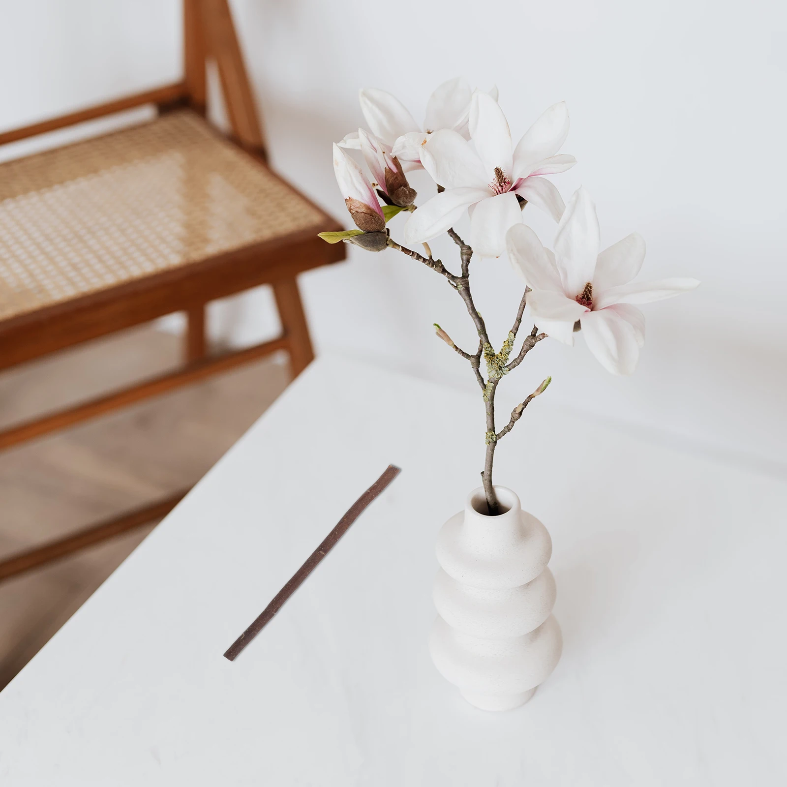 40pcs Twig Decor 20cm30cm Branches Craft DIY Sticks Wood Photo Props Decoration Holiday Accessories Wooden Sign Making
40pcs Twig Decor 20cm30cm Branches Craft DIY Sticks Wood Photo Props Decoration Holiday Accessories Wooden Sign Making